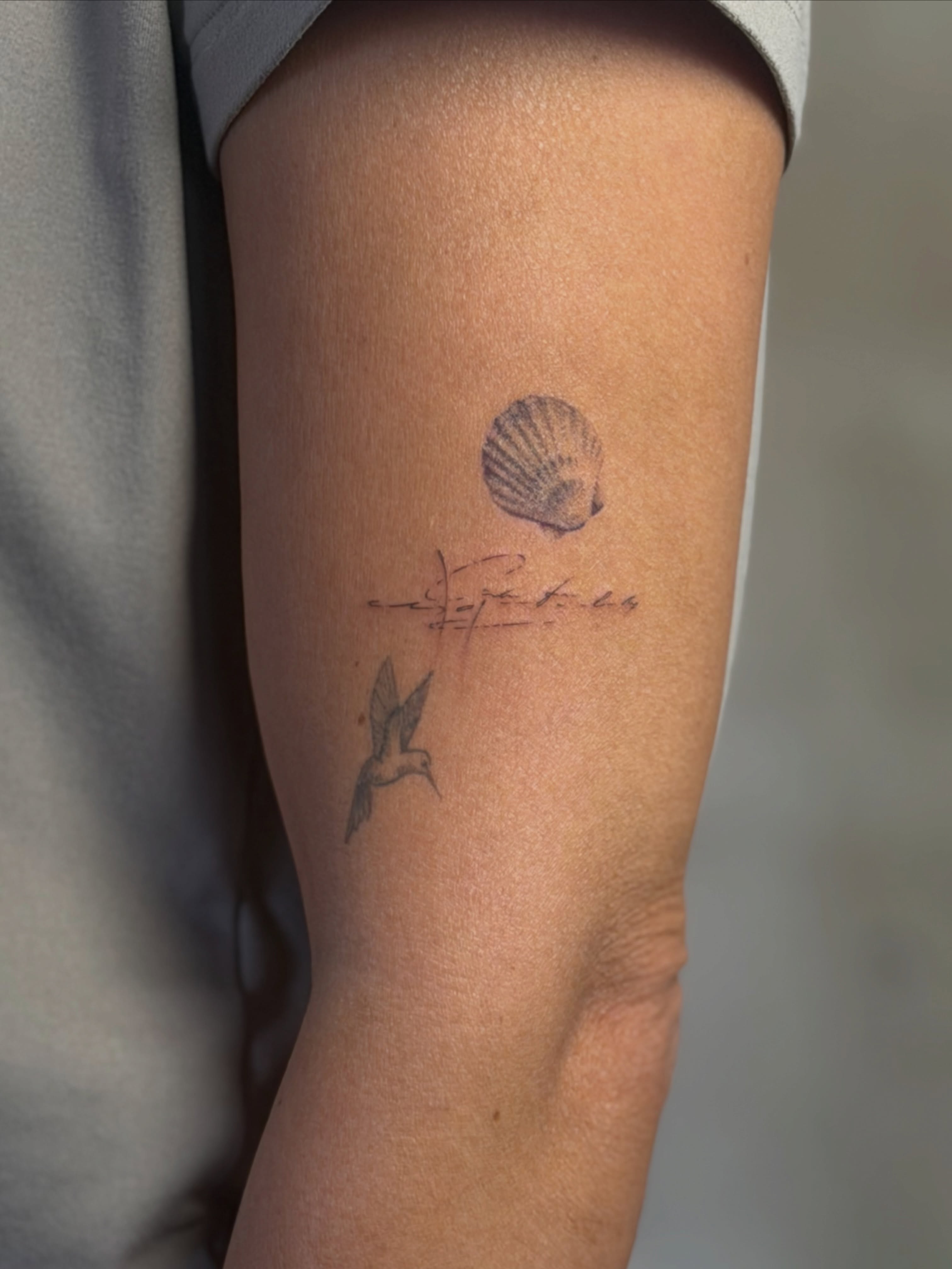 Shell and hummingbird black and grey tattoo on the forearm by 𝙸𝚗𝚔𝚊𝚗𝚍𝚕𝚒𝚕𝚢𝚜 🤎💉🐻🌸