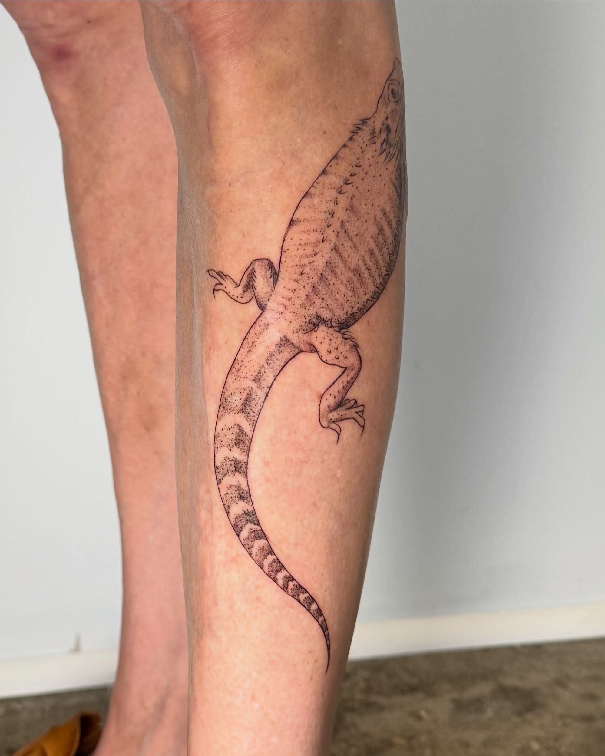 Lizard realism tattoo on the calf by RyAnn Lynn