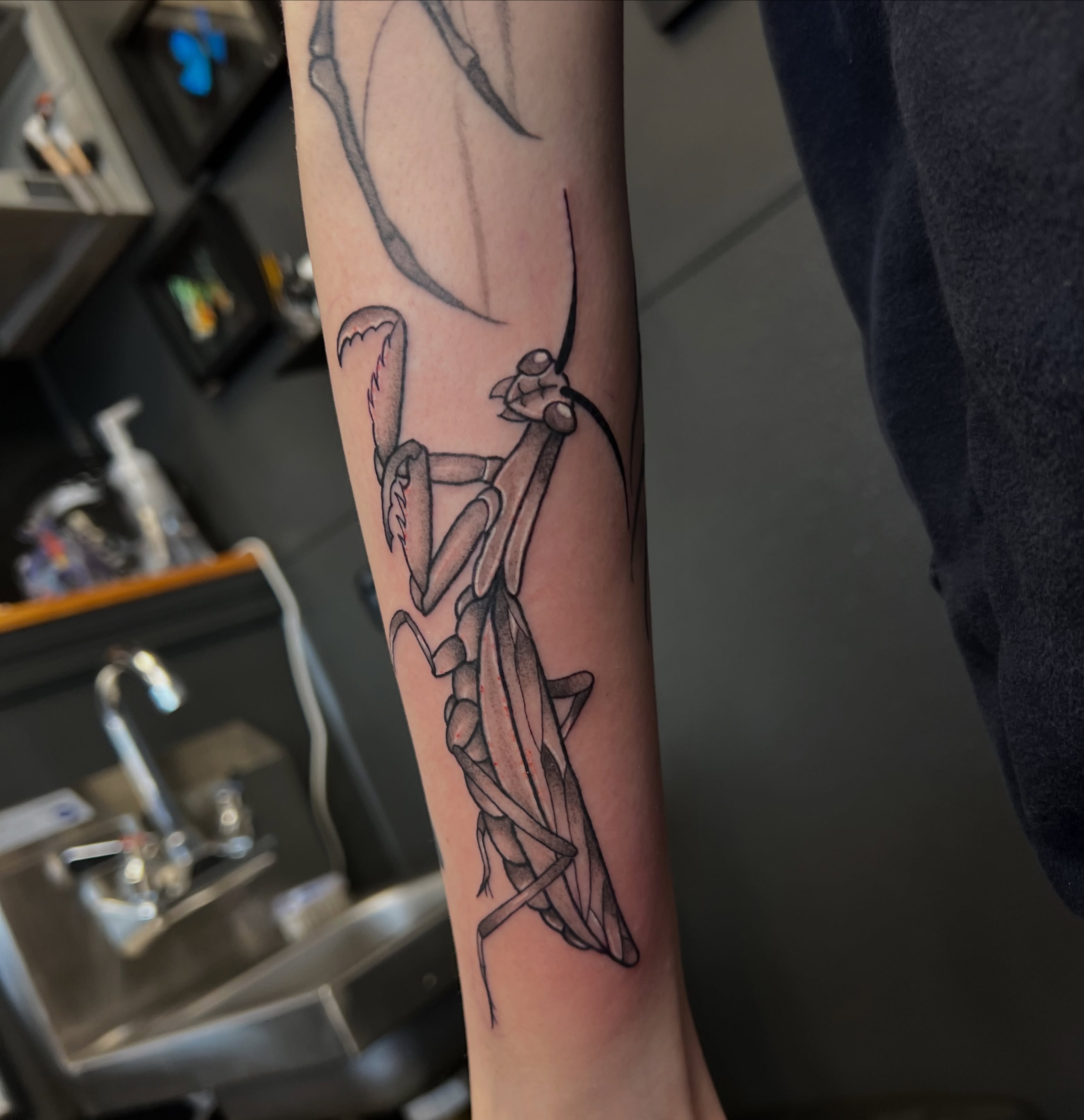 Praying mantis black and grey tattoo on the forearm by Leslie Paskoff