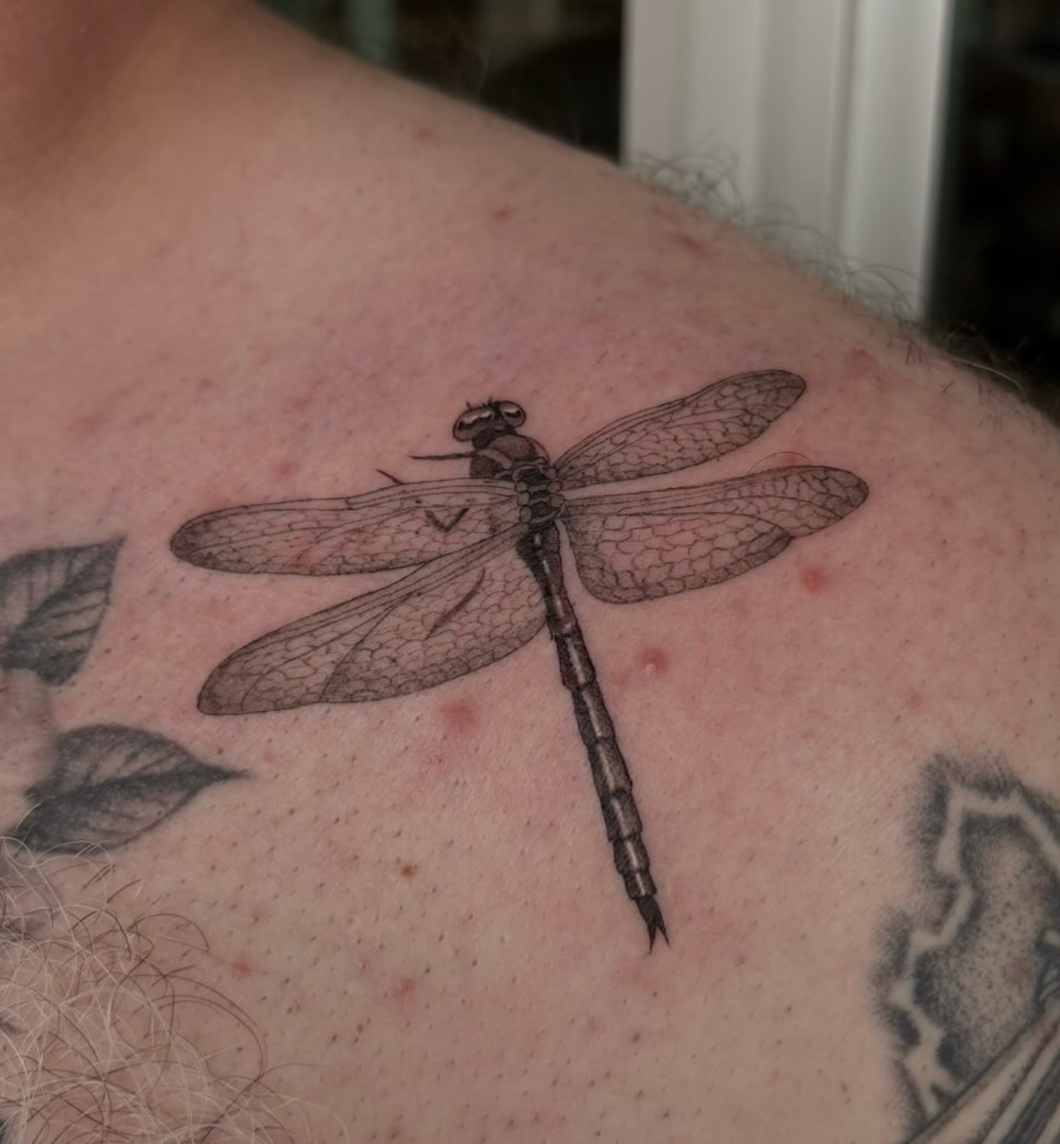 Dragonfly black and grey tattoo on the shoulder by Miami Tattoo Artist π Mel Carrasco
