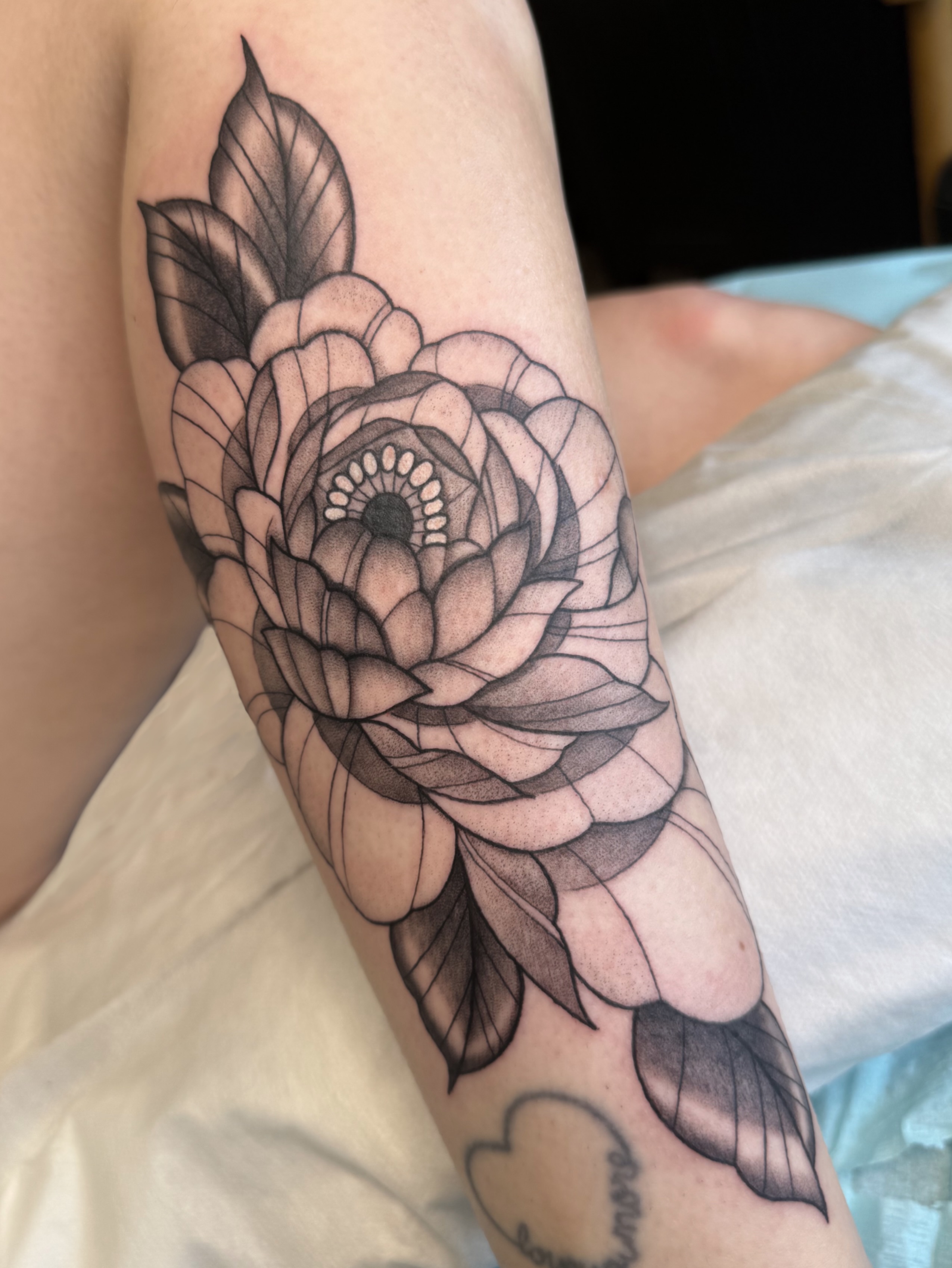 Tattoo by @alexxtattoos — black_and_grey