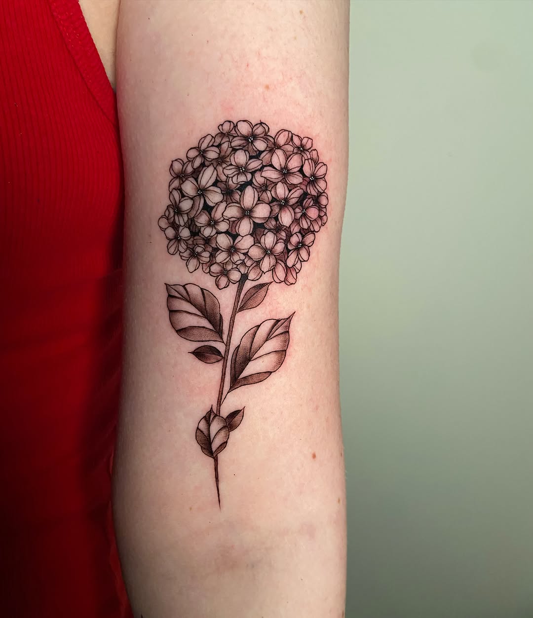 Hydrangea black and grey tattoo on the forearm by Ezra Gonda