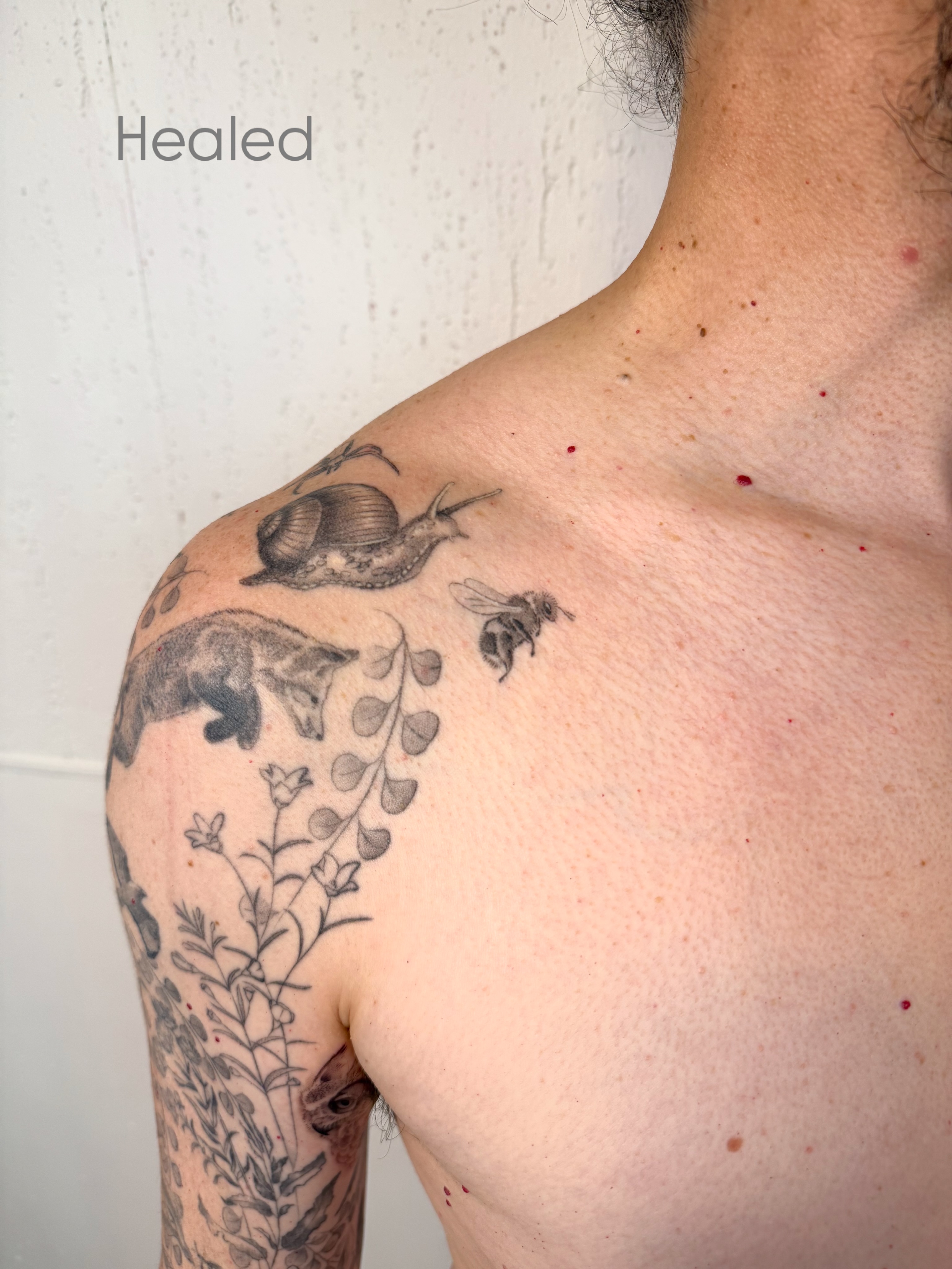 Snail and bee realism tattoo on the shoulder by Justin Turkus