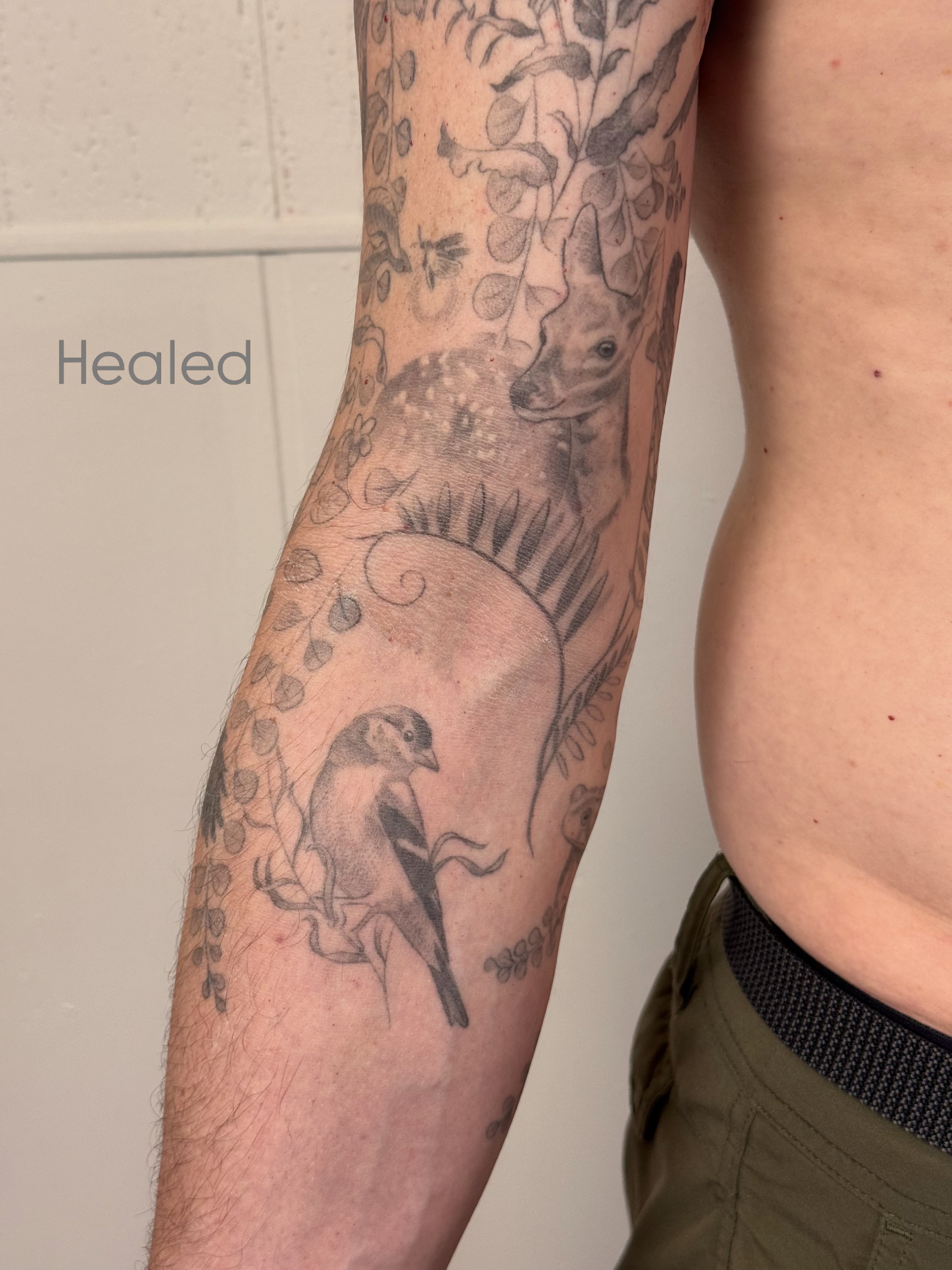 Bird and fox realism tattoo on the forearm by Justin Turkus