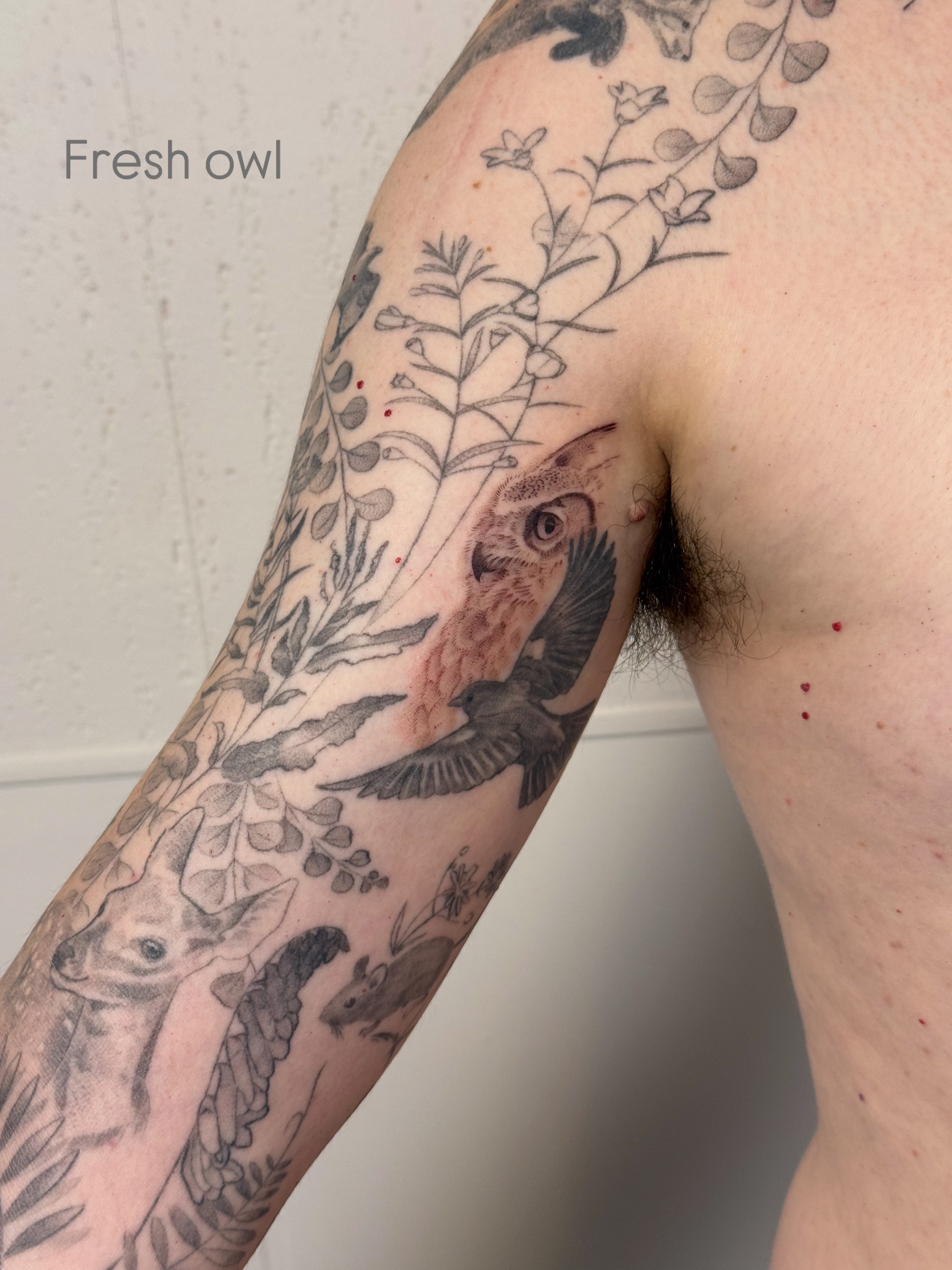 Owl black and grey tattoo on the forearm by Justin Turkus