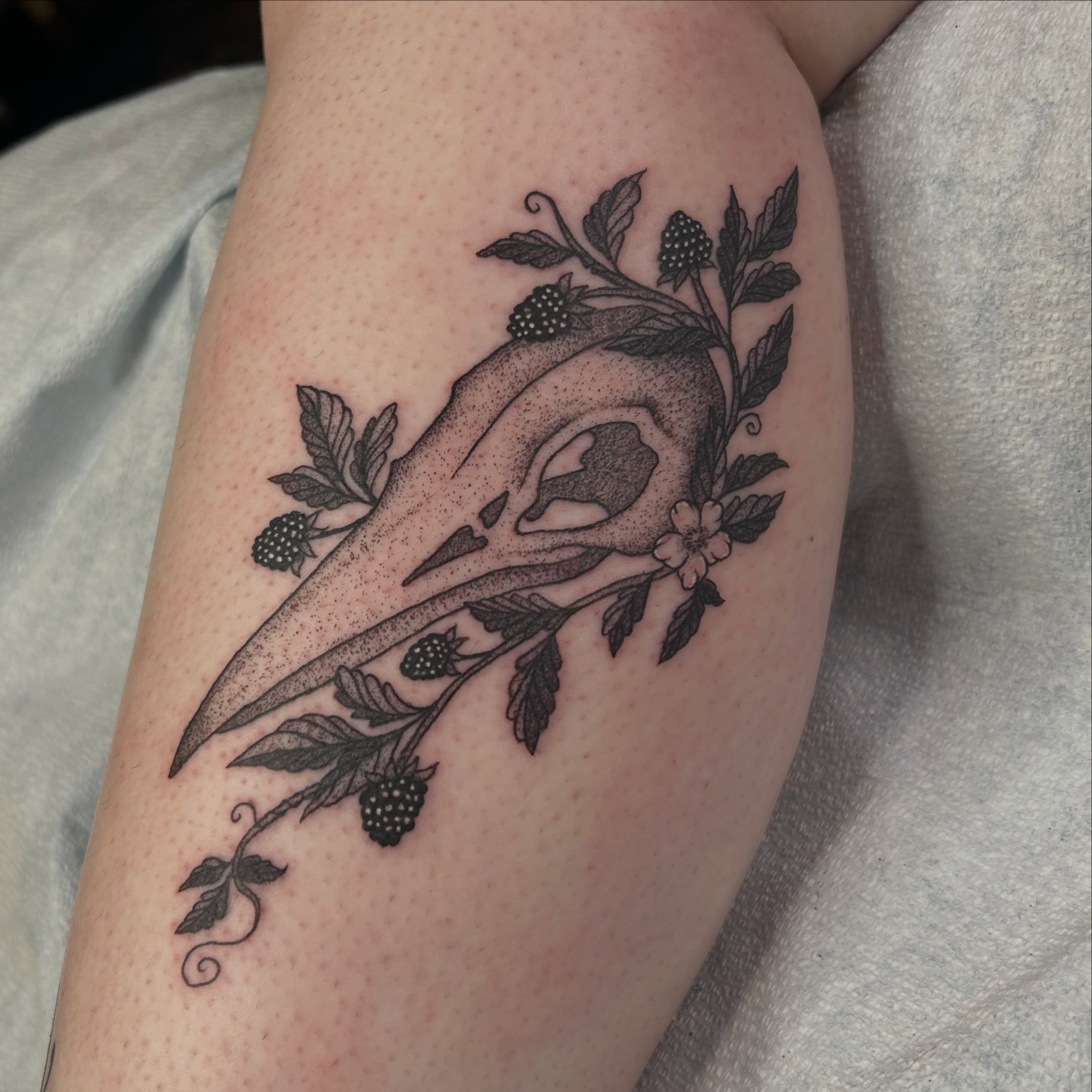 Bird skull and berries dotwork tattoo on the forearm by Jalisa 🕸️