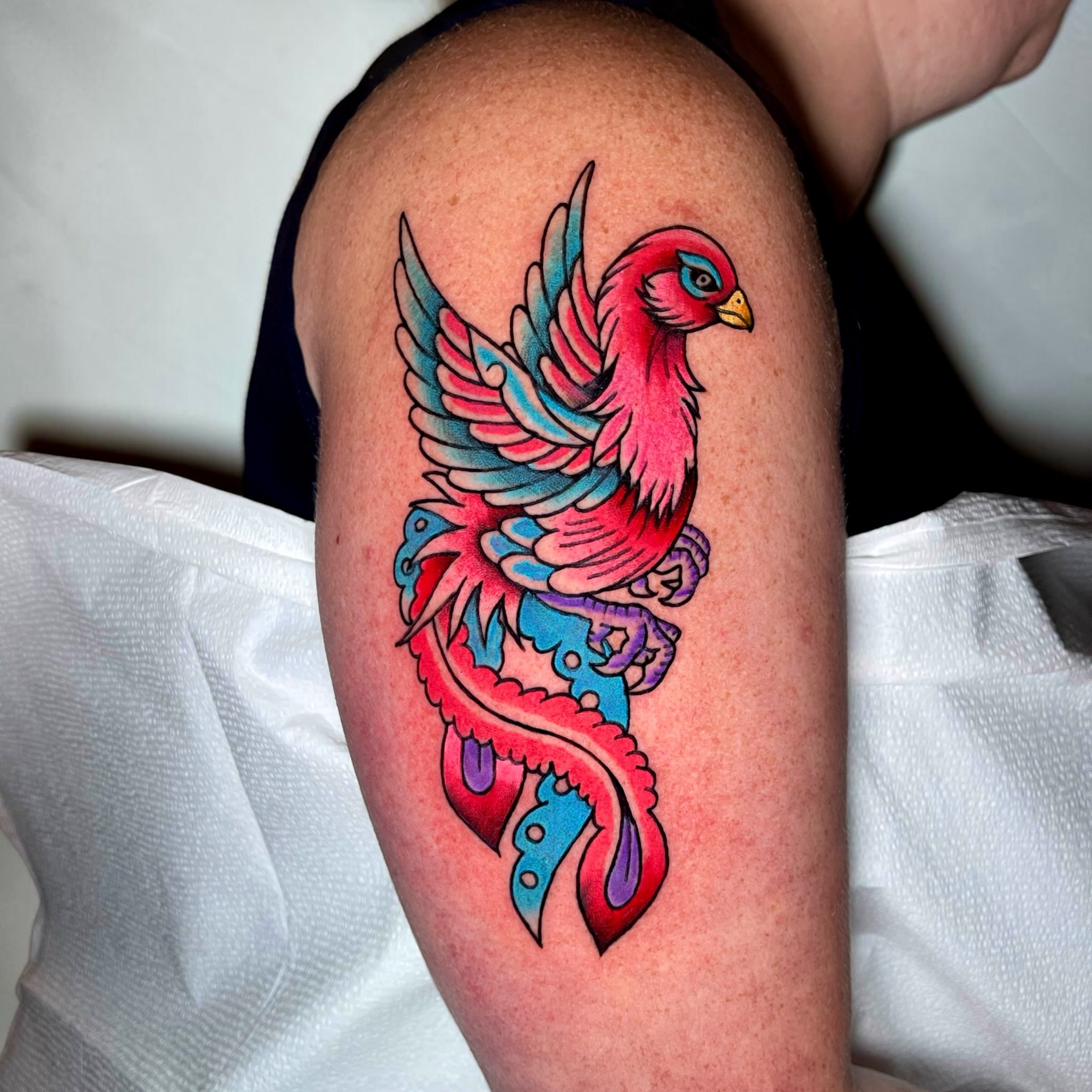Bird American traditional tattoo on the upper arm by Brooke Kresco