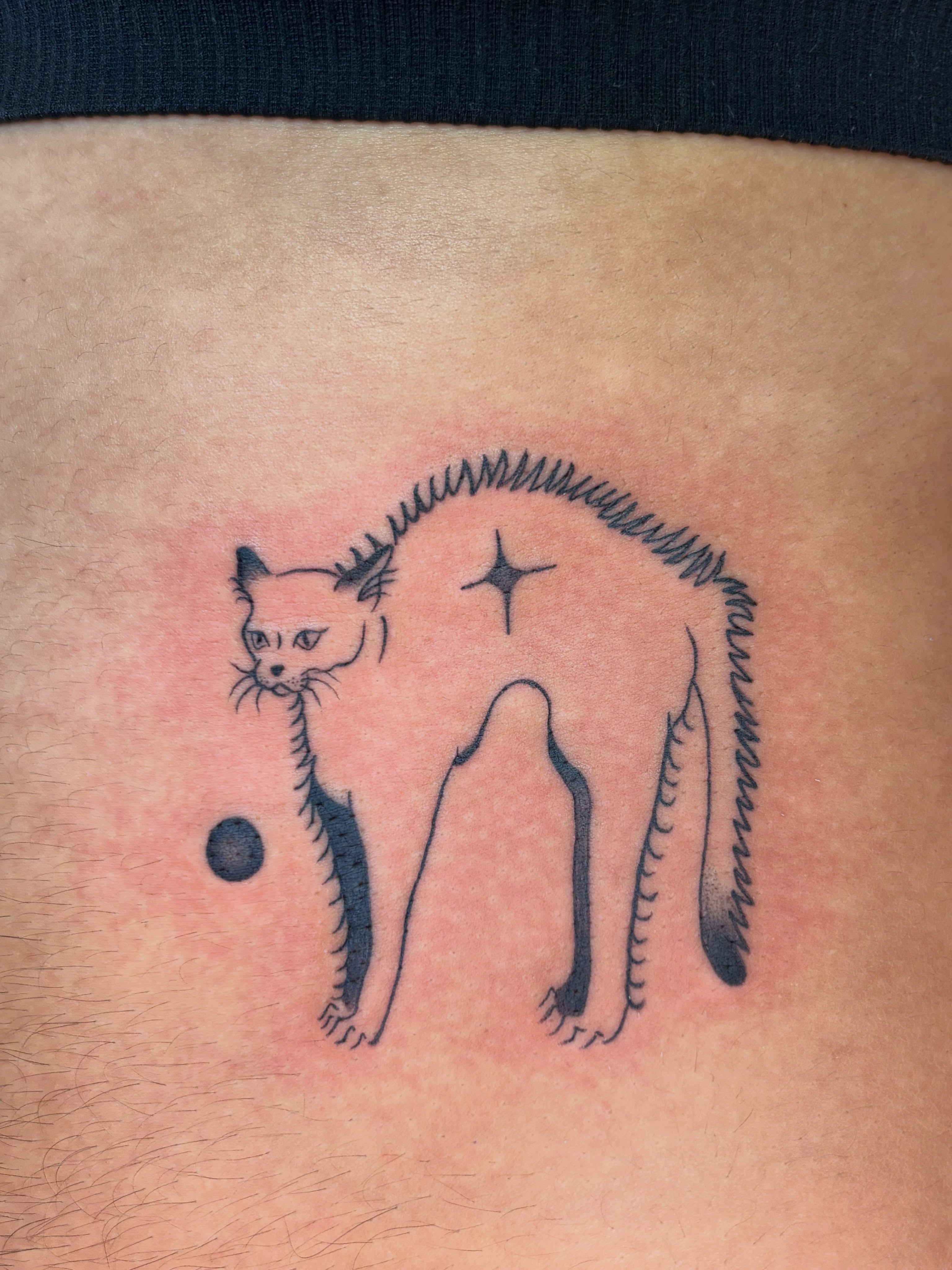 Cat minimalist tattoo on the thigh by carla sofia