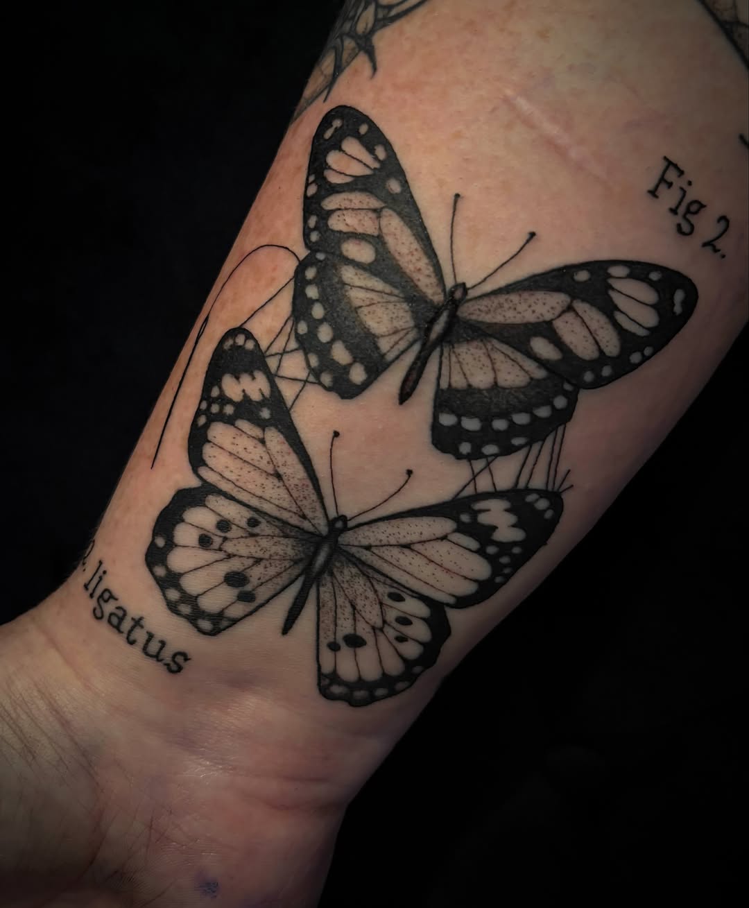 Tattoo by @tk.tattoos — black_and_grey, fine_line