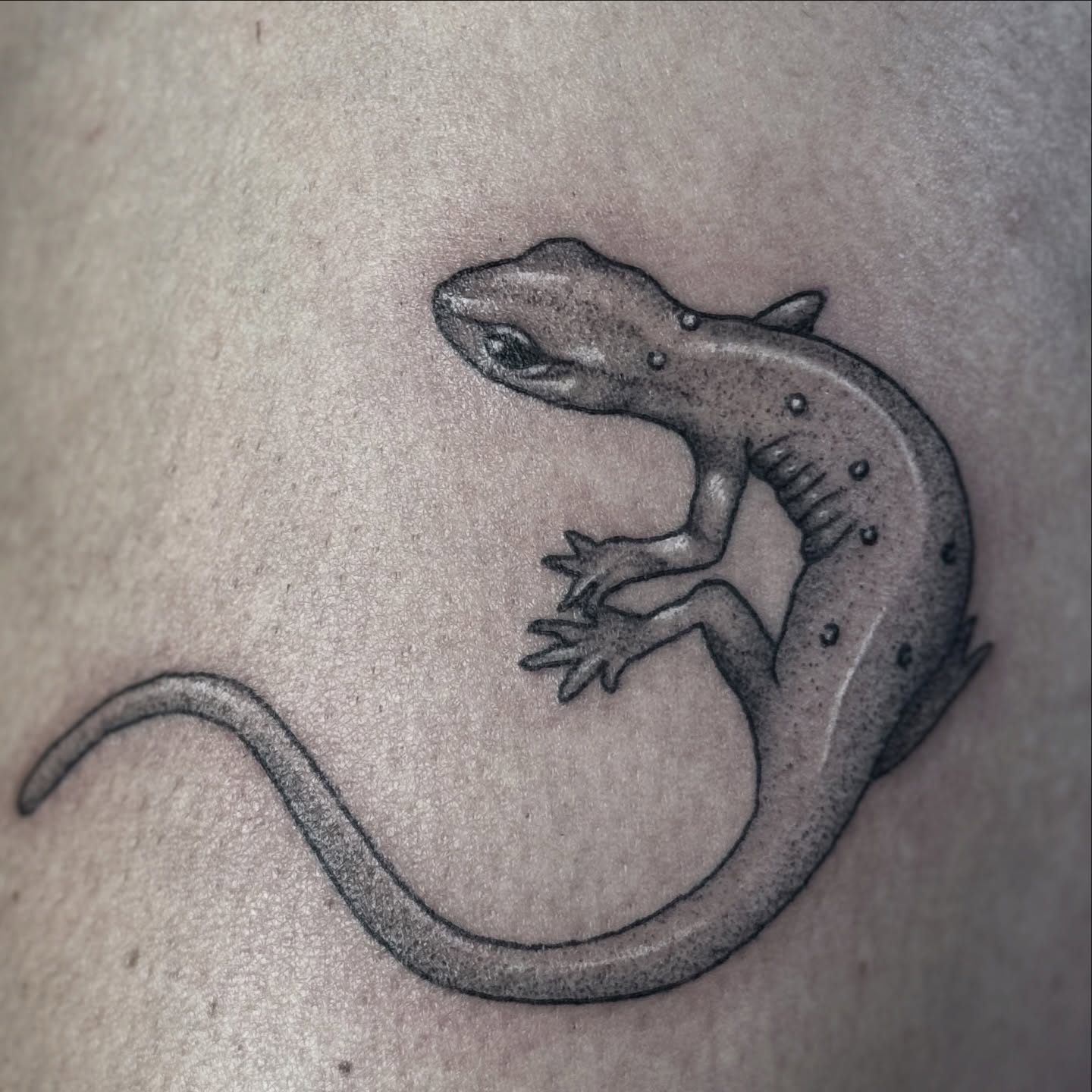 Gecko realism tattoo on the thigh by Bronzino Ink - Karen, Asheville, North Carolina