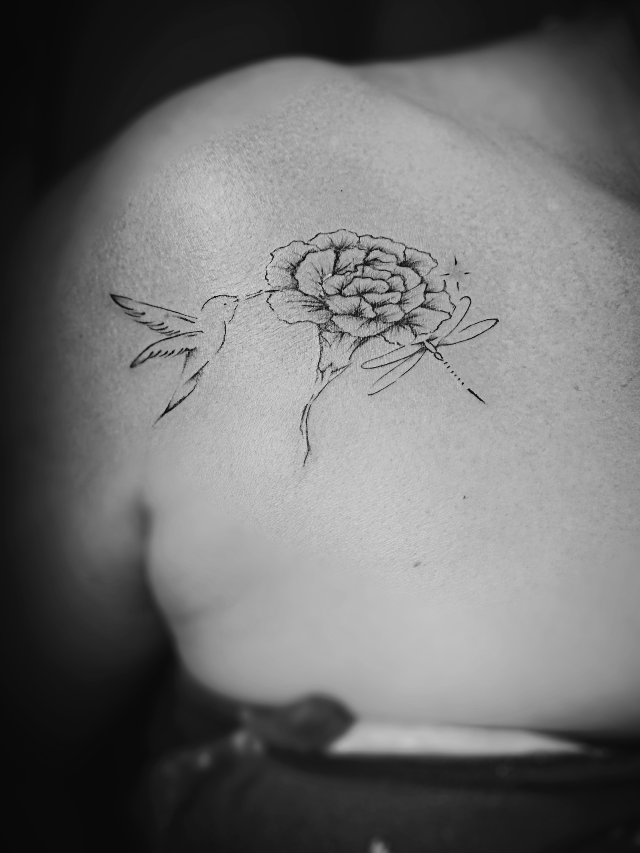 Flower with bird and dragonfly fine line tattoo on the shoulder by Meagan, Charlotte, North Carolina