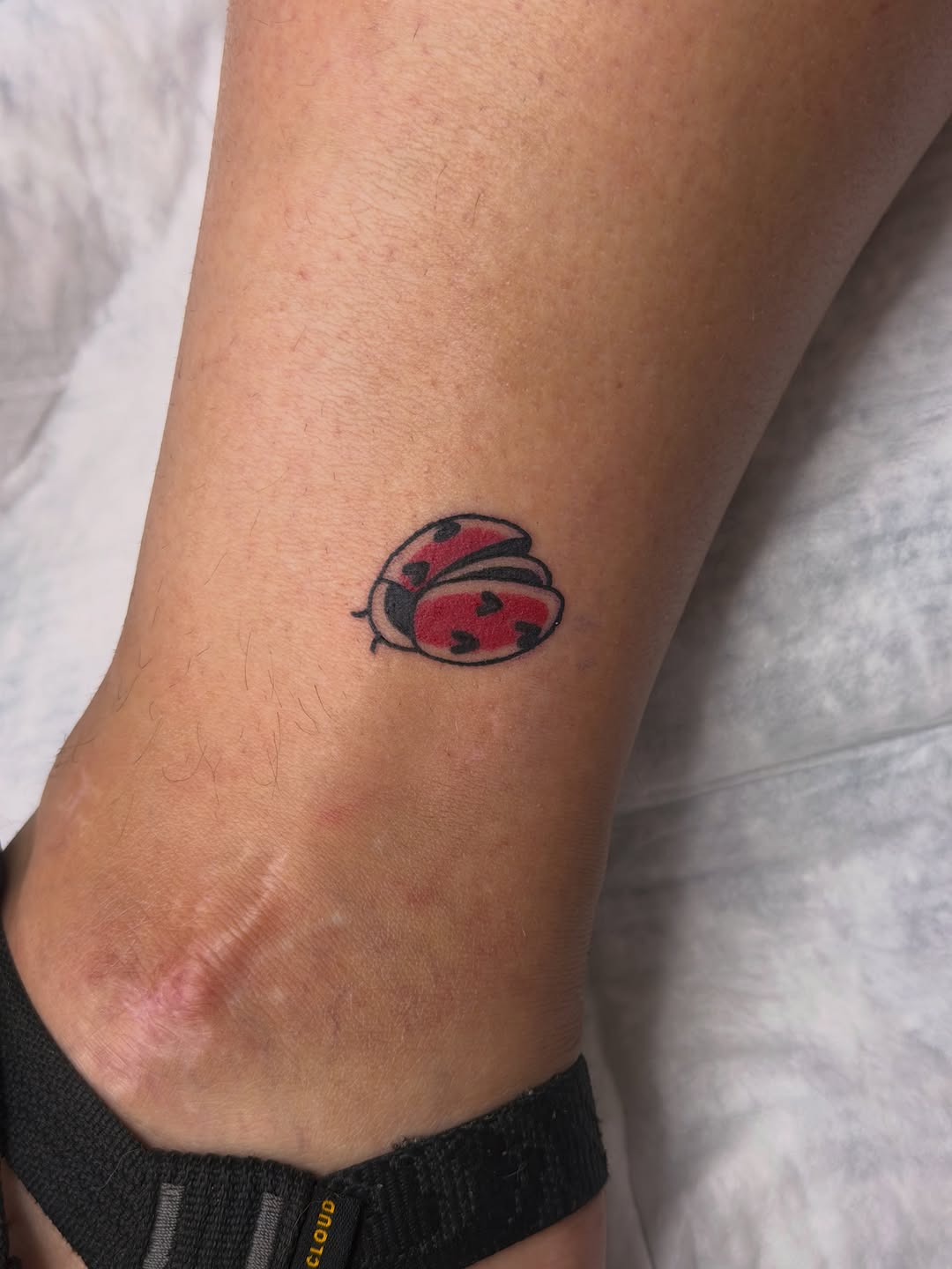 Tattoo by @caitlynntattoos — american_traditional