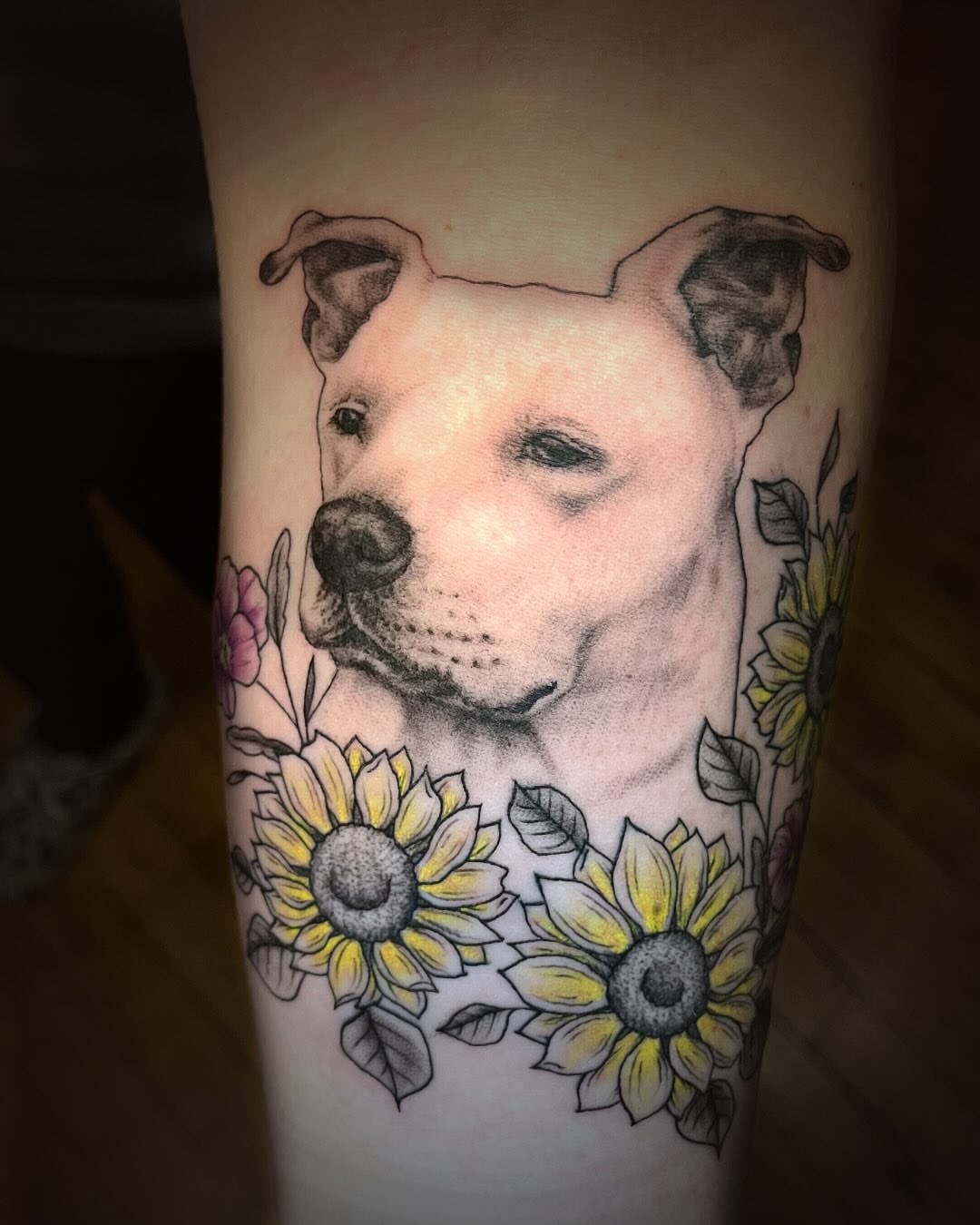 Pit bull with sunflowers realism tattoo on the forearm by Lake Stephens, Richmond, Virginia