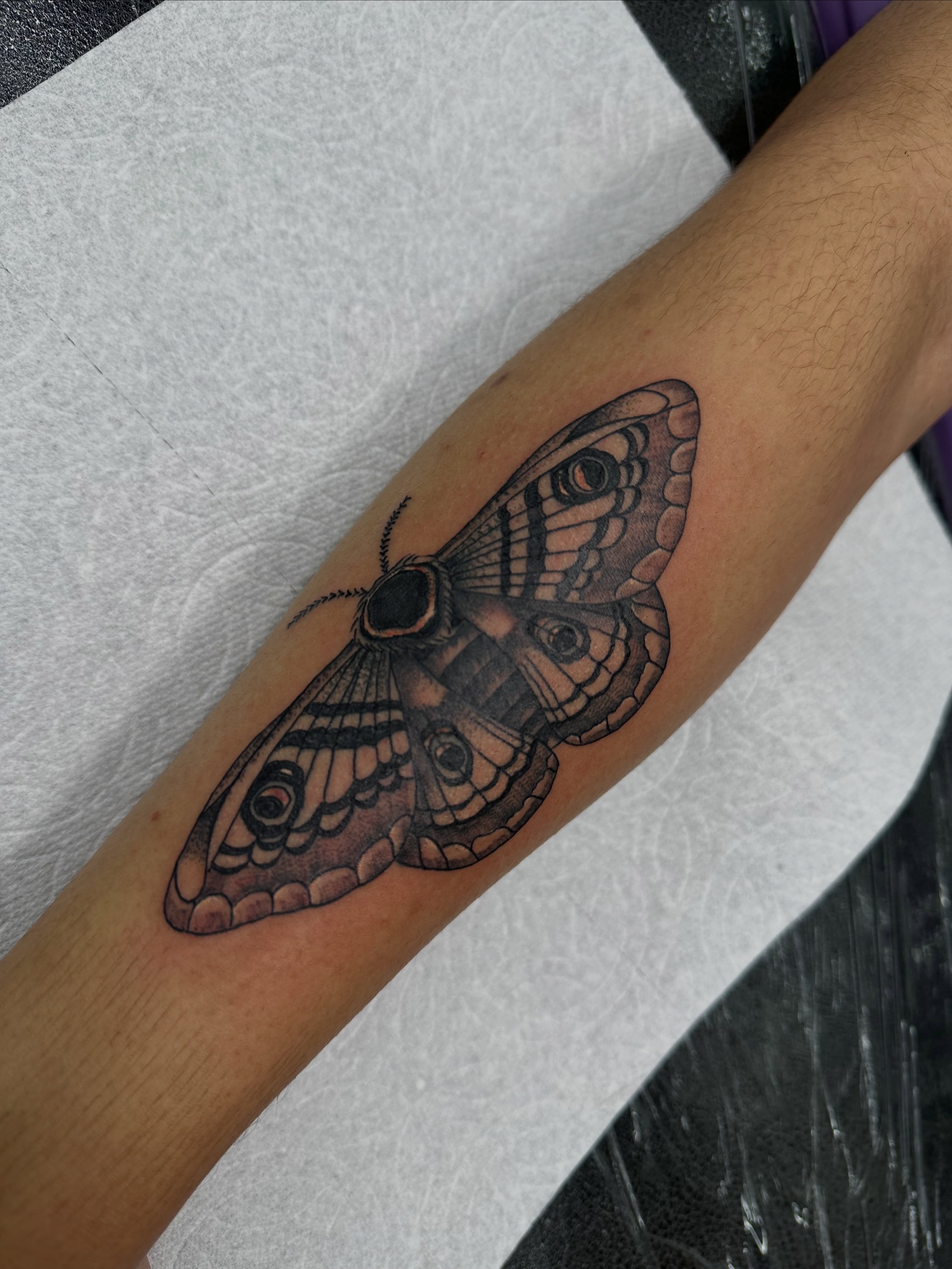 Butterfly realism tattoo on the forearm by Nate Webb