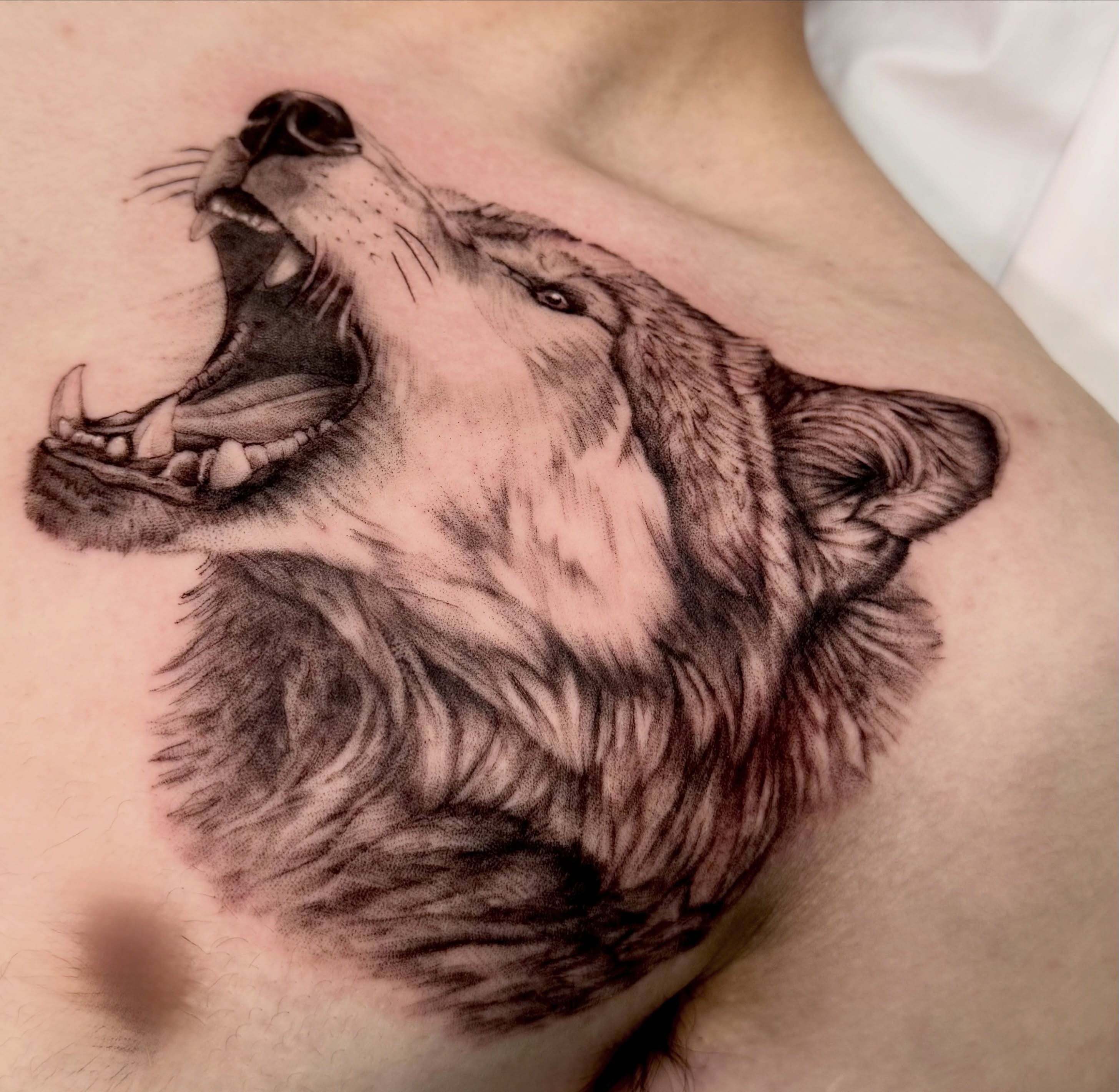 Tattoo by @h_proletter_ttt — realism, black_and_grey