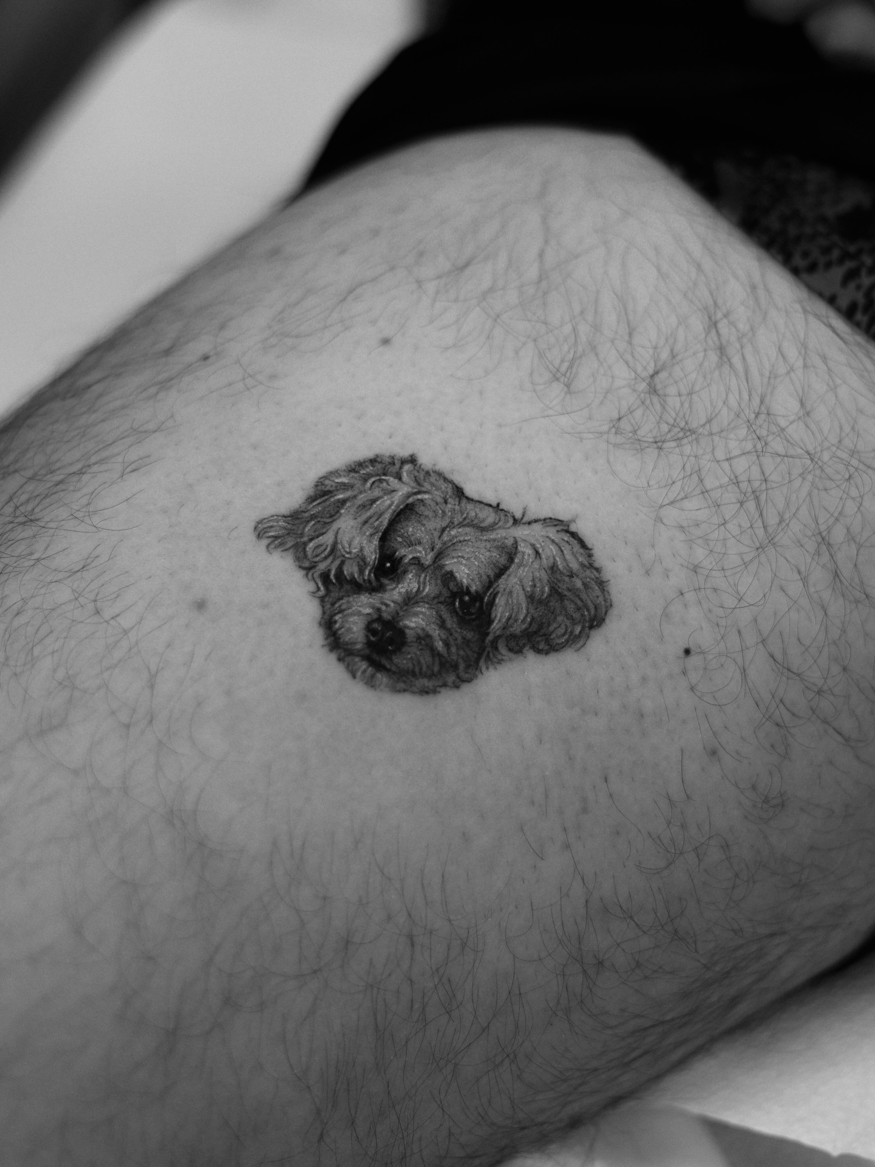 Dog realism tattoo on the thigh by Arthur Kossoski