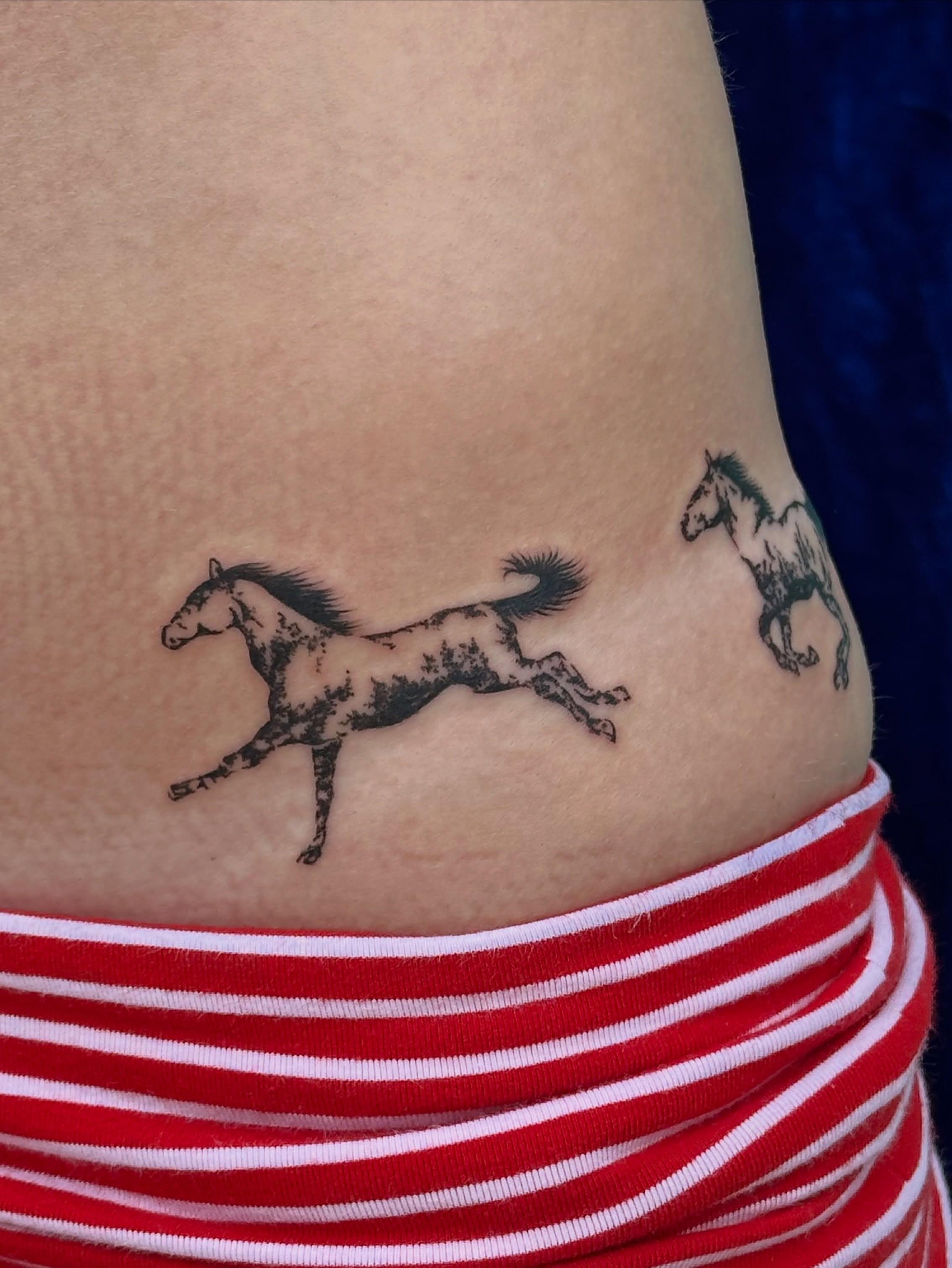 Horses black and grey tattoo on the ribs by ๐ฐ ๐ต๐๐๐๐๐ ๐ฐ