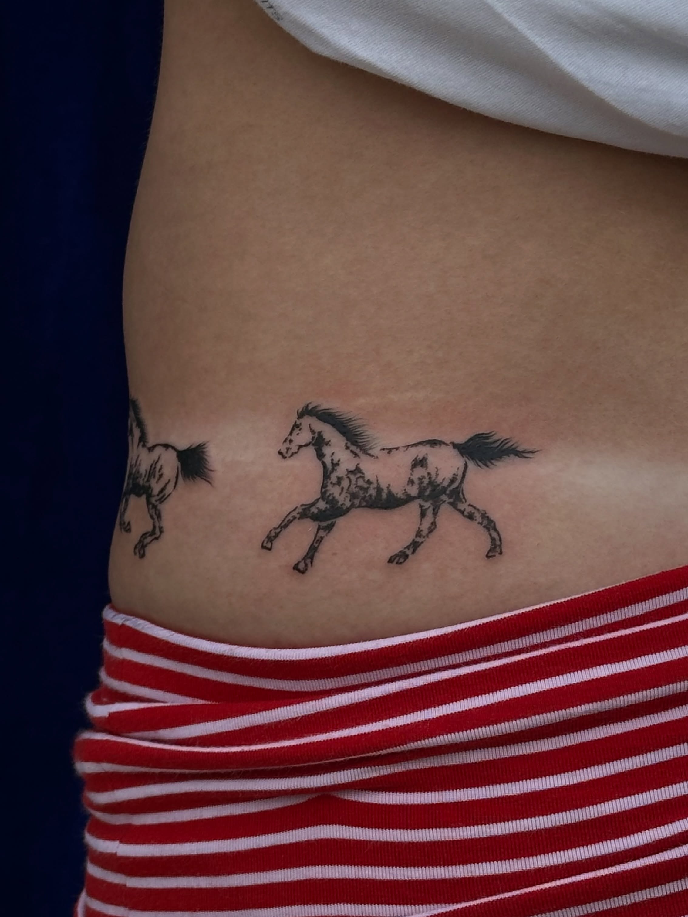 Horses black and grey tattoo on the ribs by ๐ฐ ๐ต๐๐๐๐๐ ๐ฐ