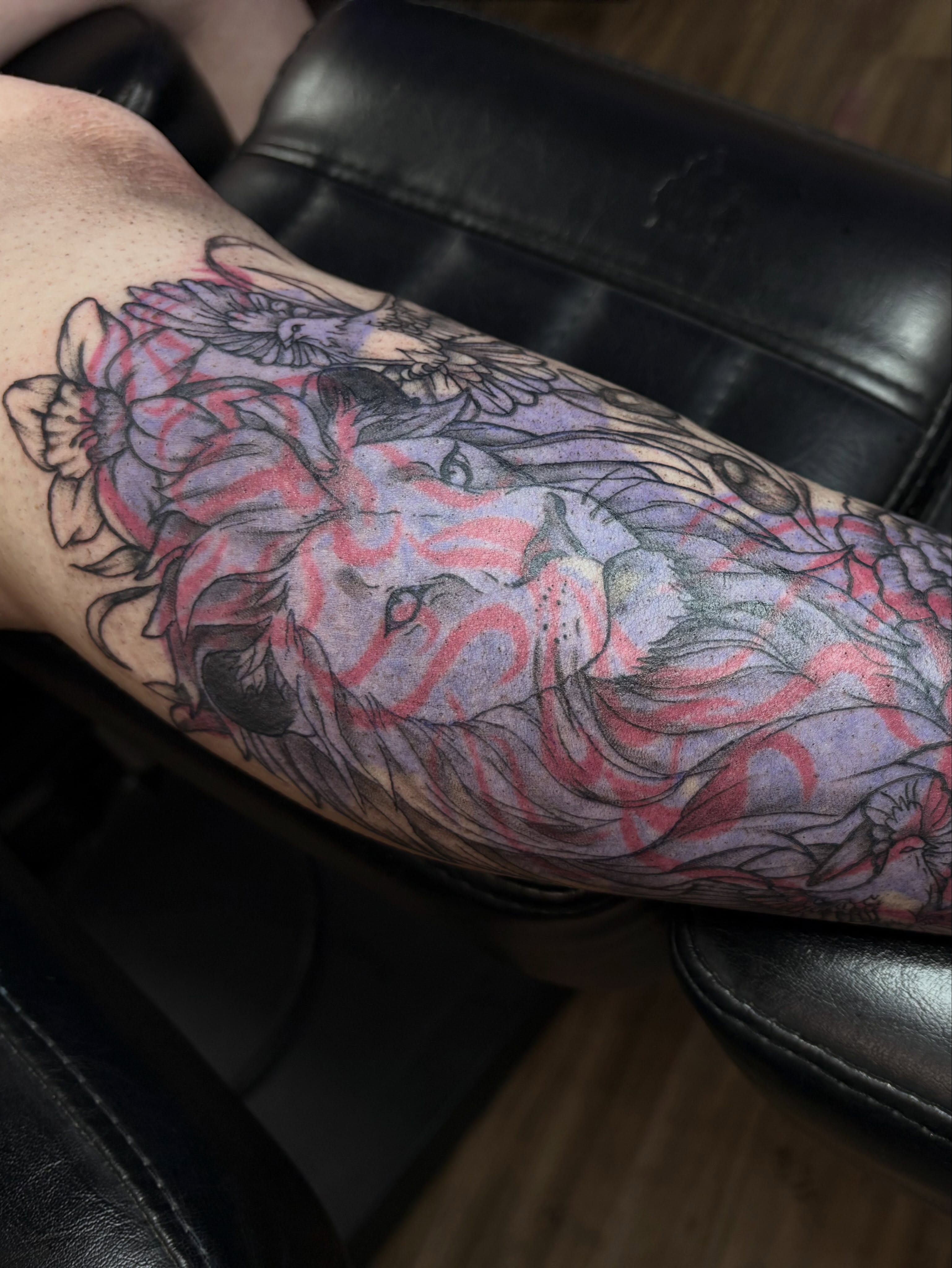 Lion American traditional tattoo on the forearm by Cincinnati Tattoo Artist