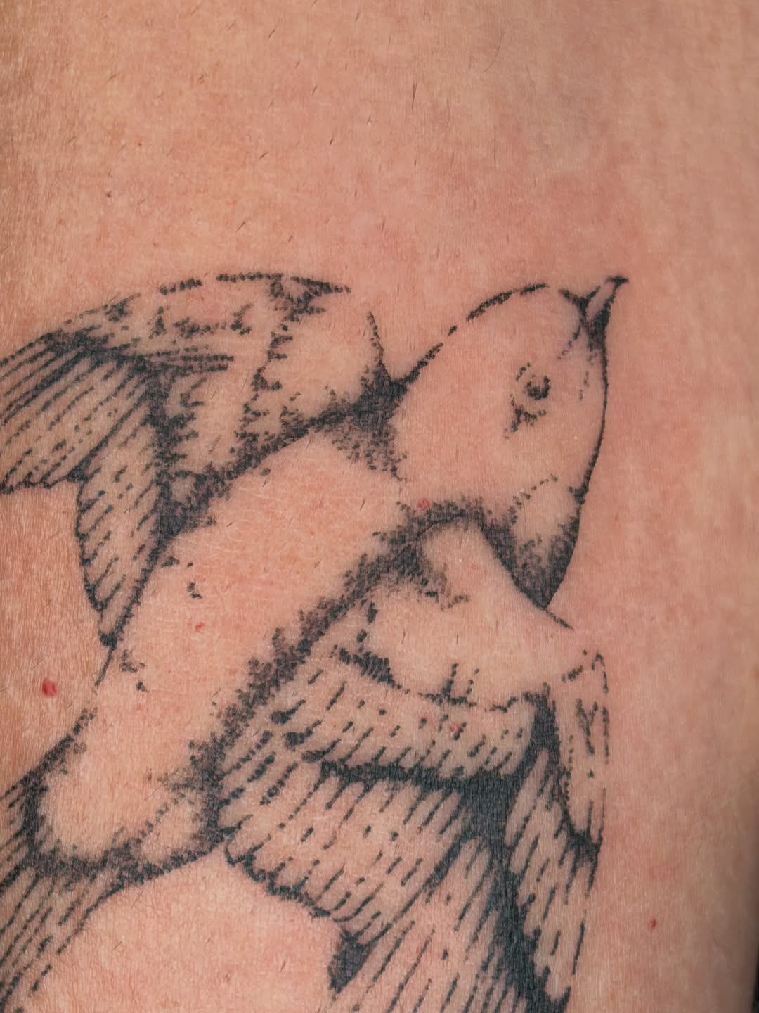 Tattoo by @stabzzz333 โ black_and_grey, illustrative