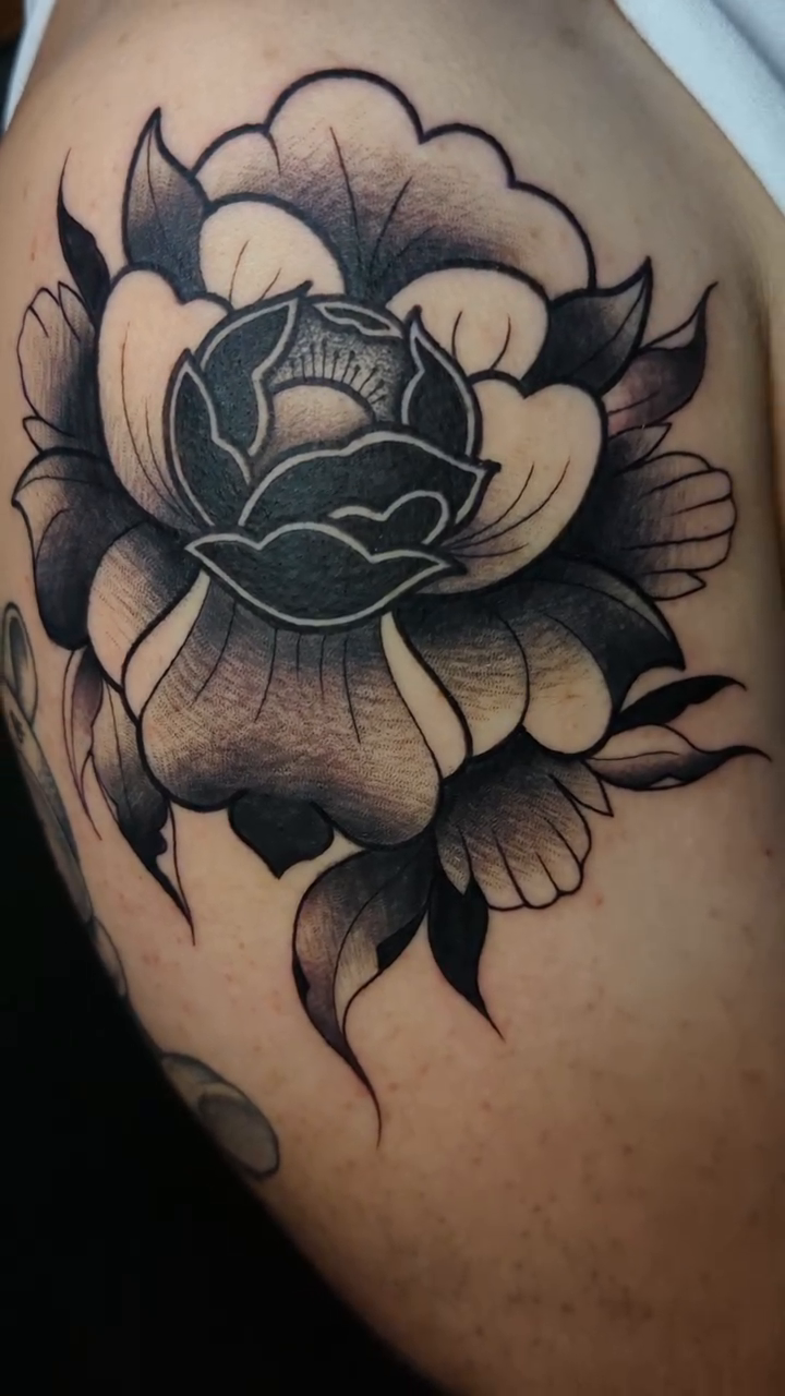 Peony flower American traditional tattoo by 𝐈𝐚𝐧 𝐒𝐞𝐭𝐡 🕷️ Austin