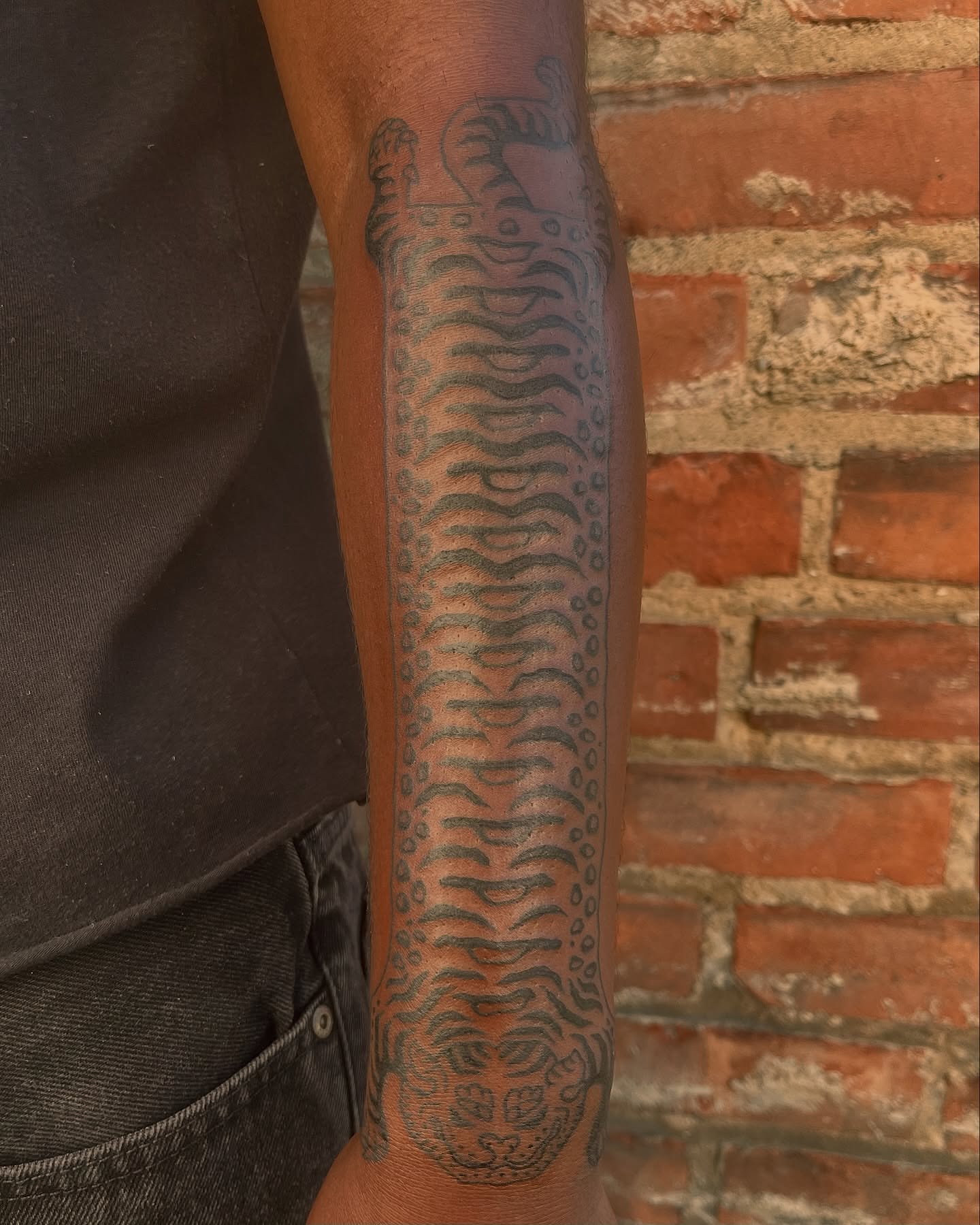 Tiger black and grey tattoo on the forearm by jay