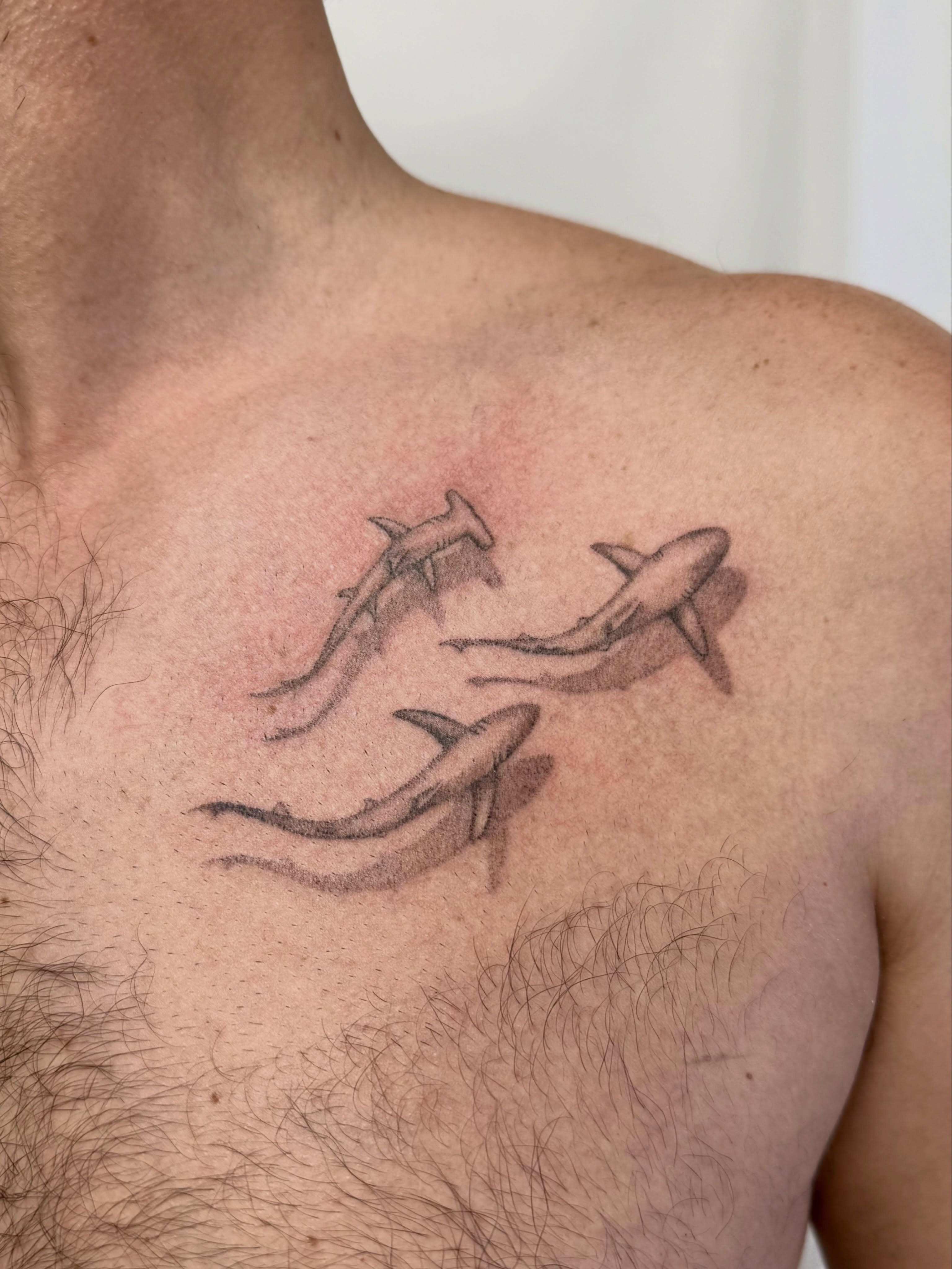 Sharks black and grey tattoo on the chest by Melia Mariko