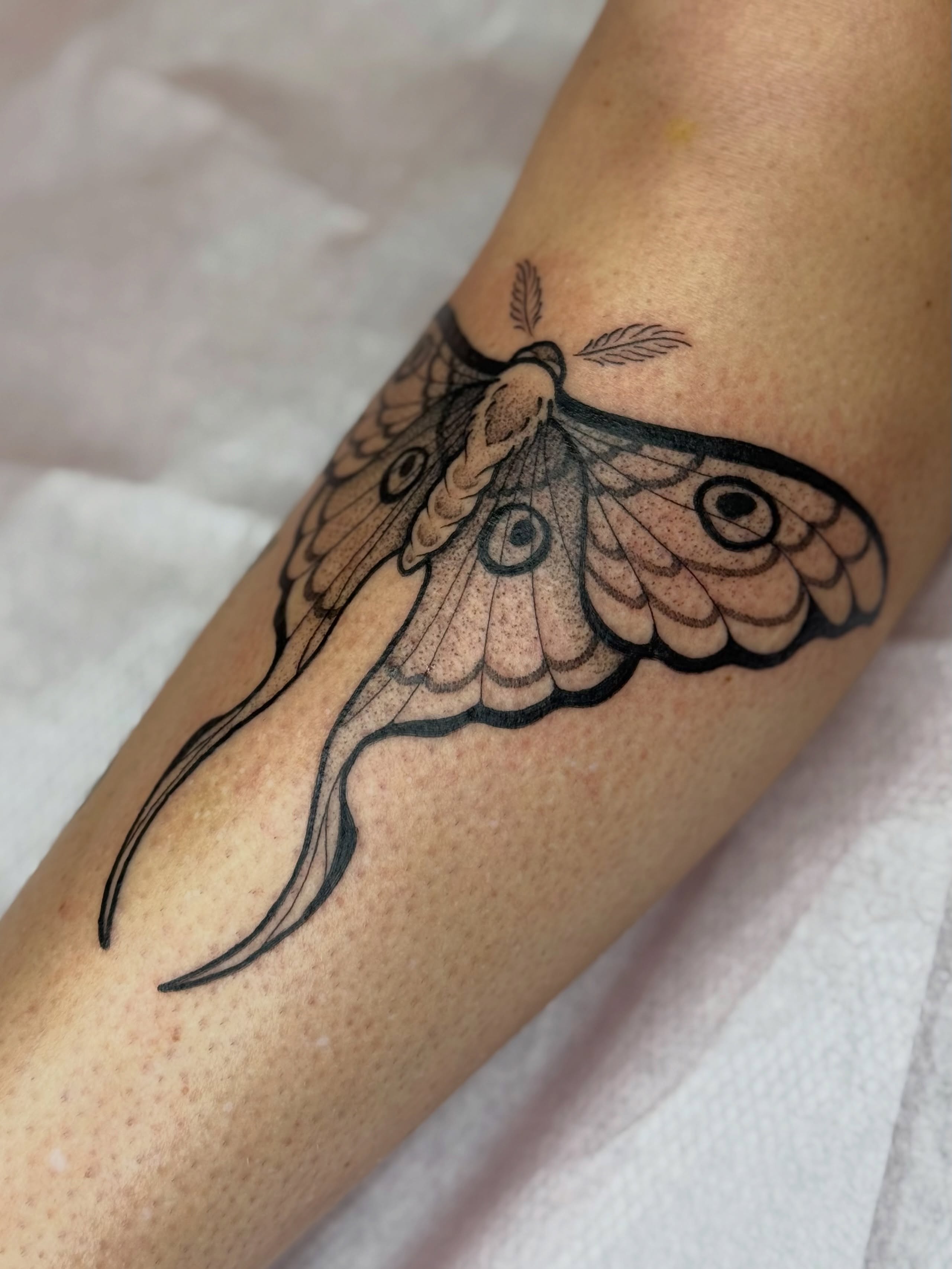 Moth black and grey tattoo on the forearm by Emma Friesen - Lancaster & York Tattoo Artist, Lancaster, Pennsylvania