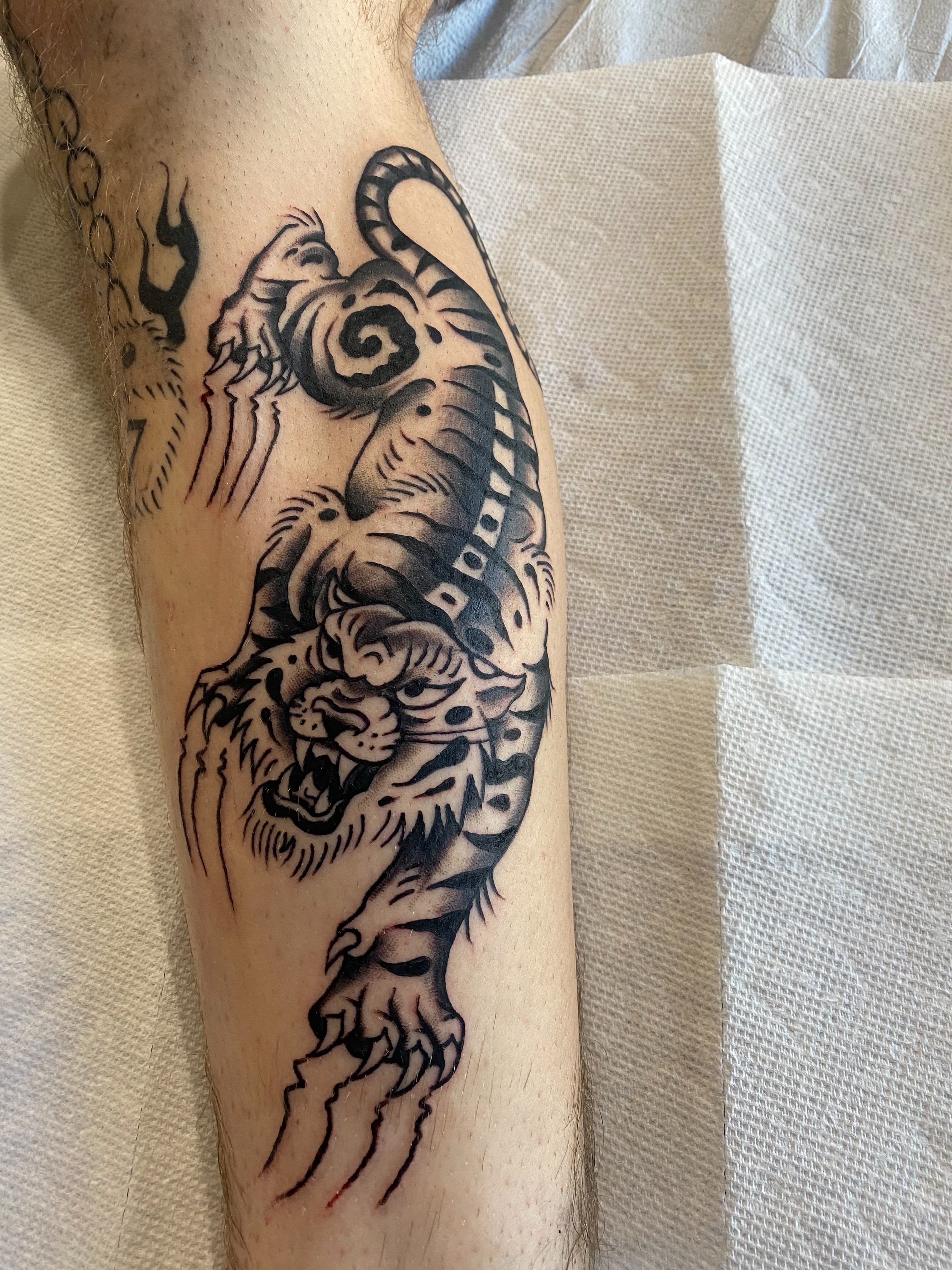 Lion American traditional tattoo on the forearm by Karl Hegwein, Portland, Oregon