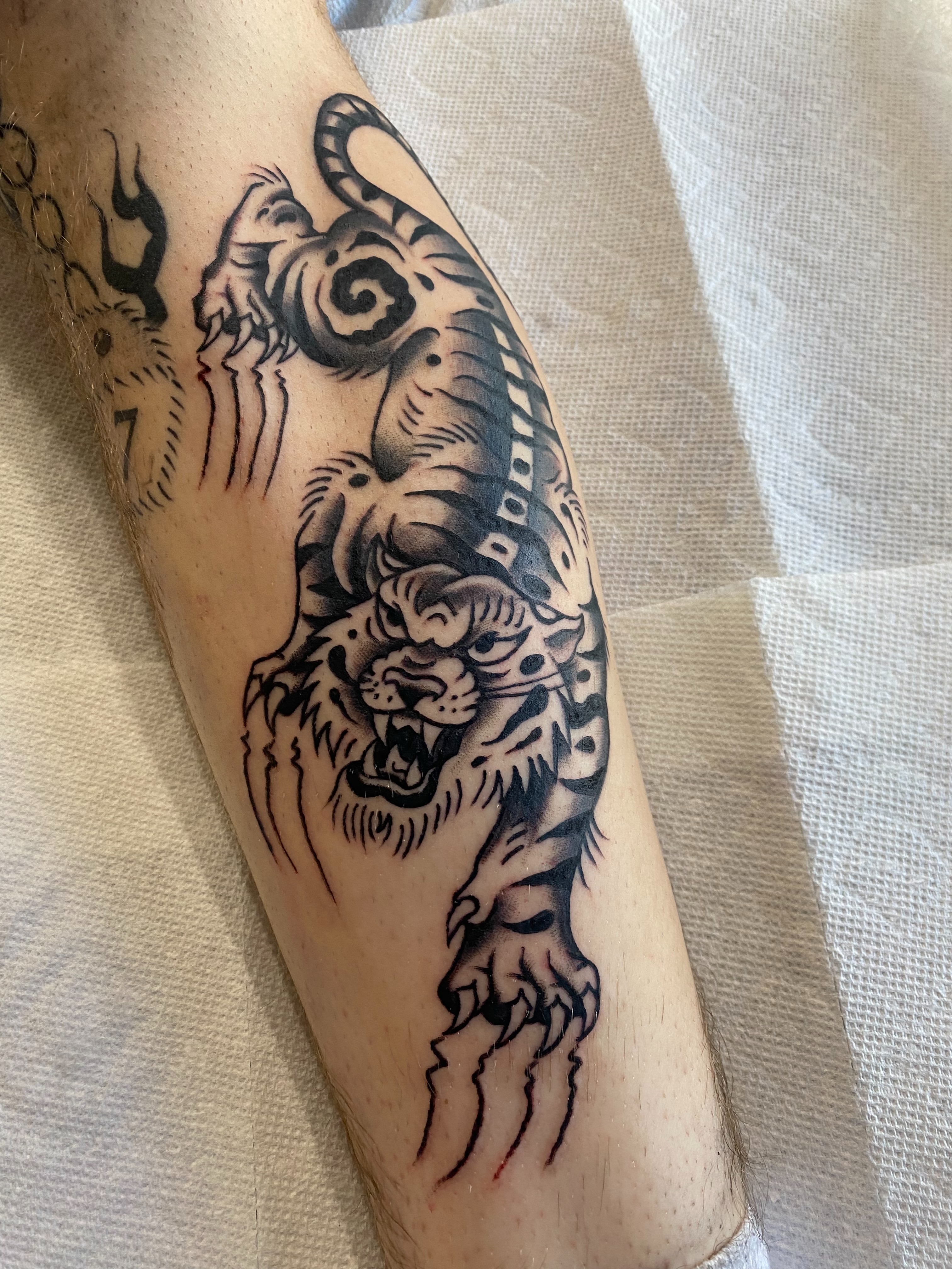 Tiger black and grey tattoo on the forearm by Karl Hegwein, Portland, Oregon