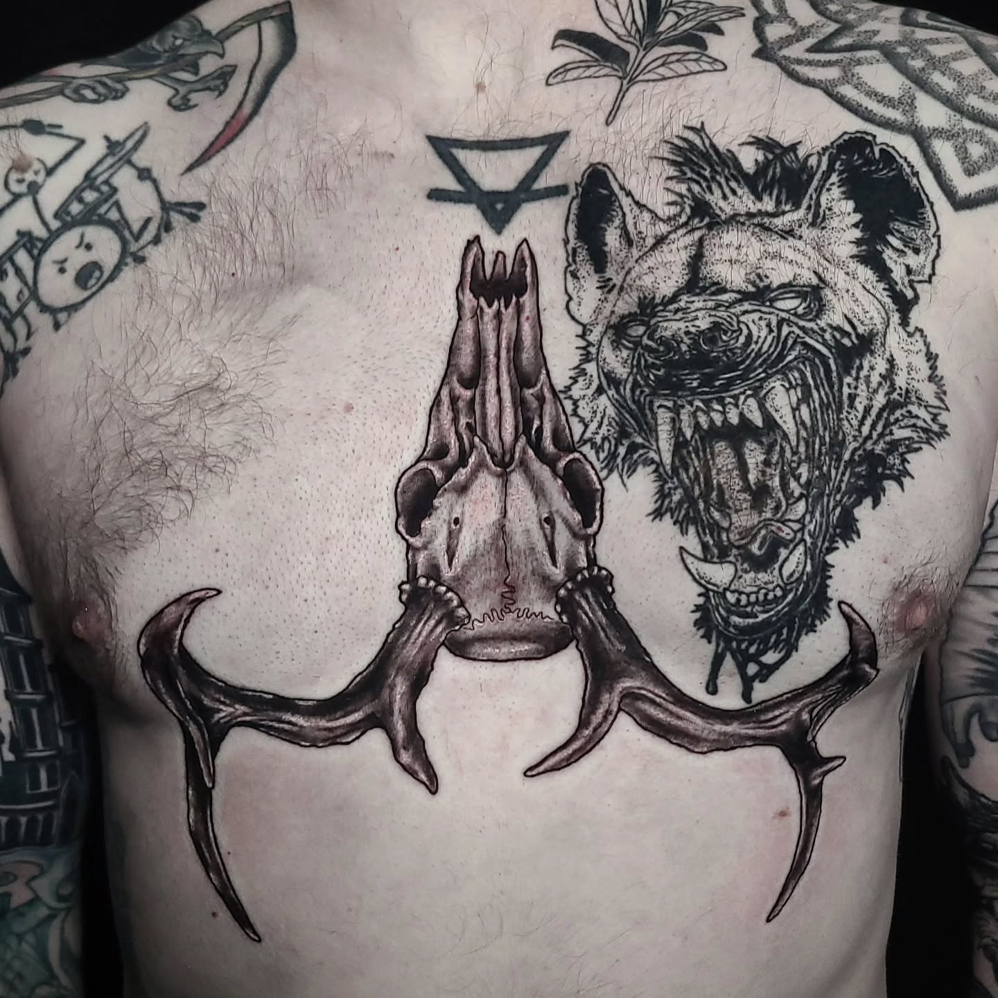 Deer skull and hyena realism tattoo on the chest by Alex Stairs