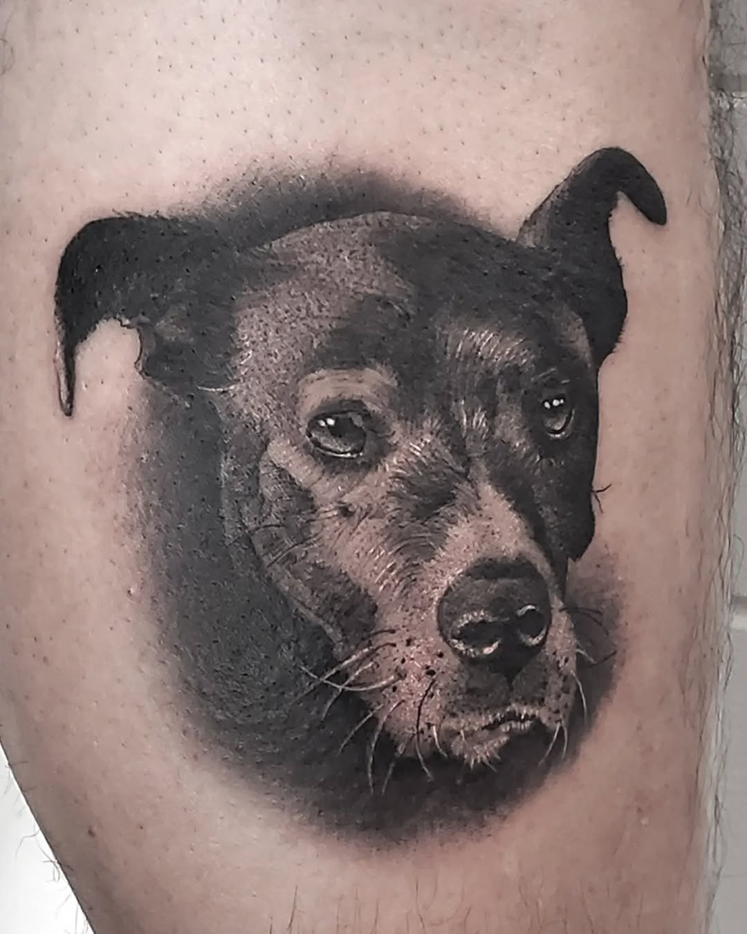 Tattoo by @rexroxwell — realism, black_and_grey