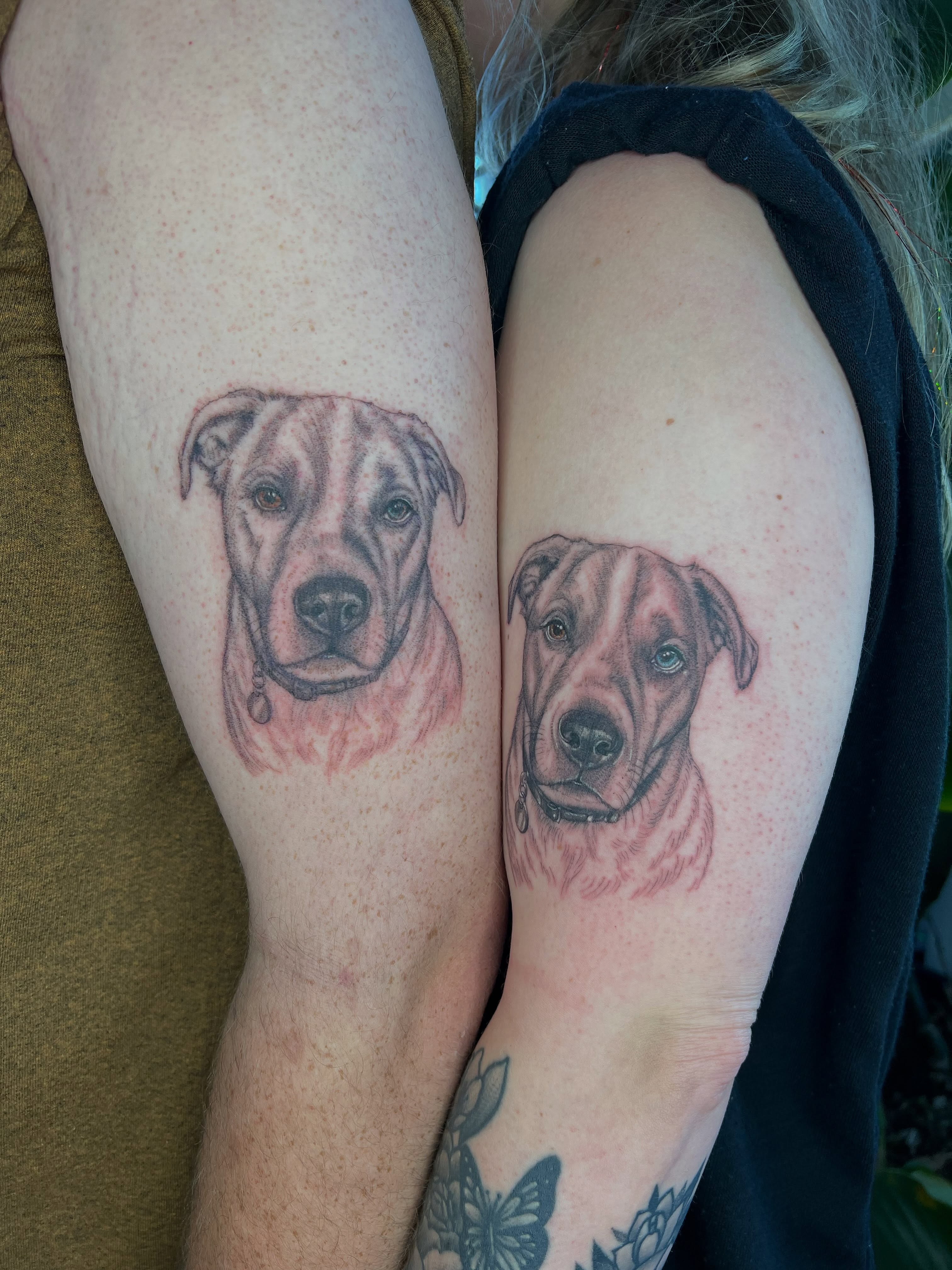 Dog portraits realism tattoo on the forearm by Jordi WA Tacoma Tattooer