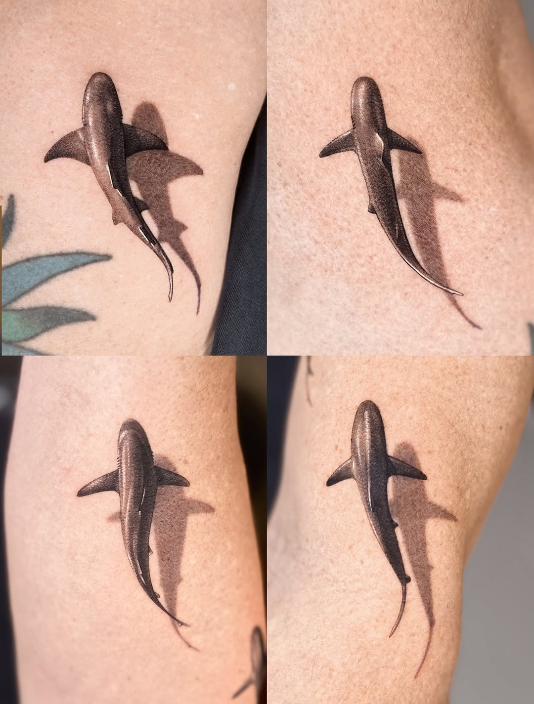 Shark fine line tattoo on the forearm by Saru