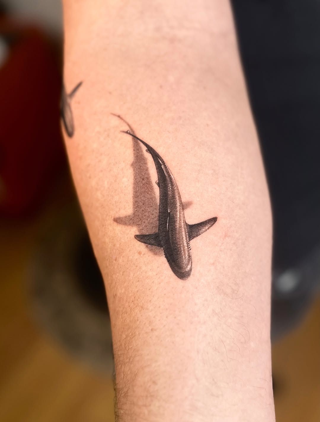 Shark fine line tattoo on the forearm by Saru