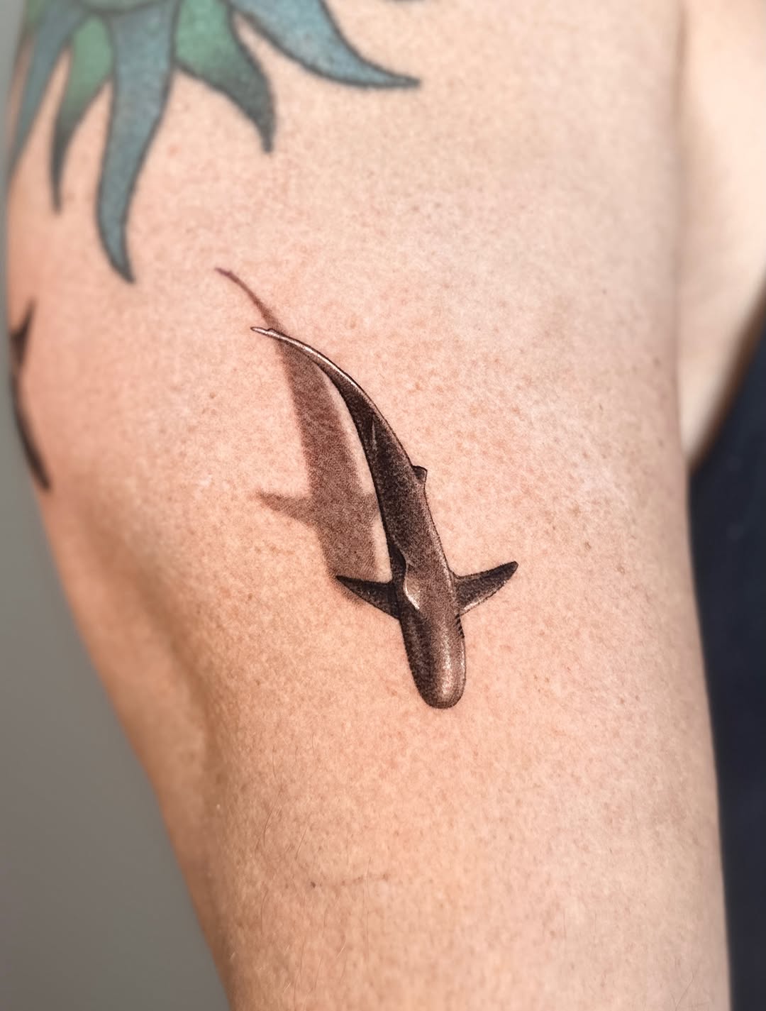 Shark fine line tattoo on the forearm by Saru