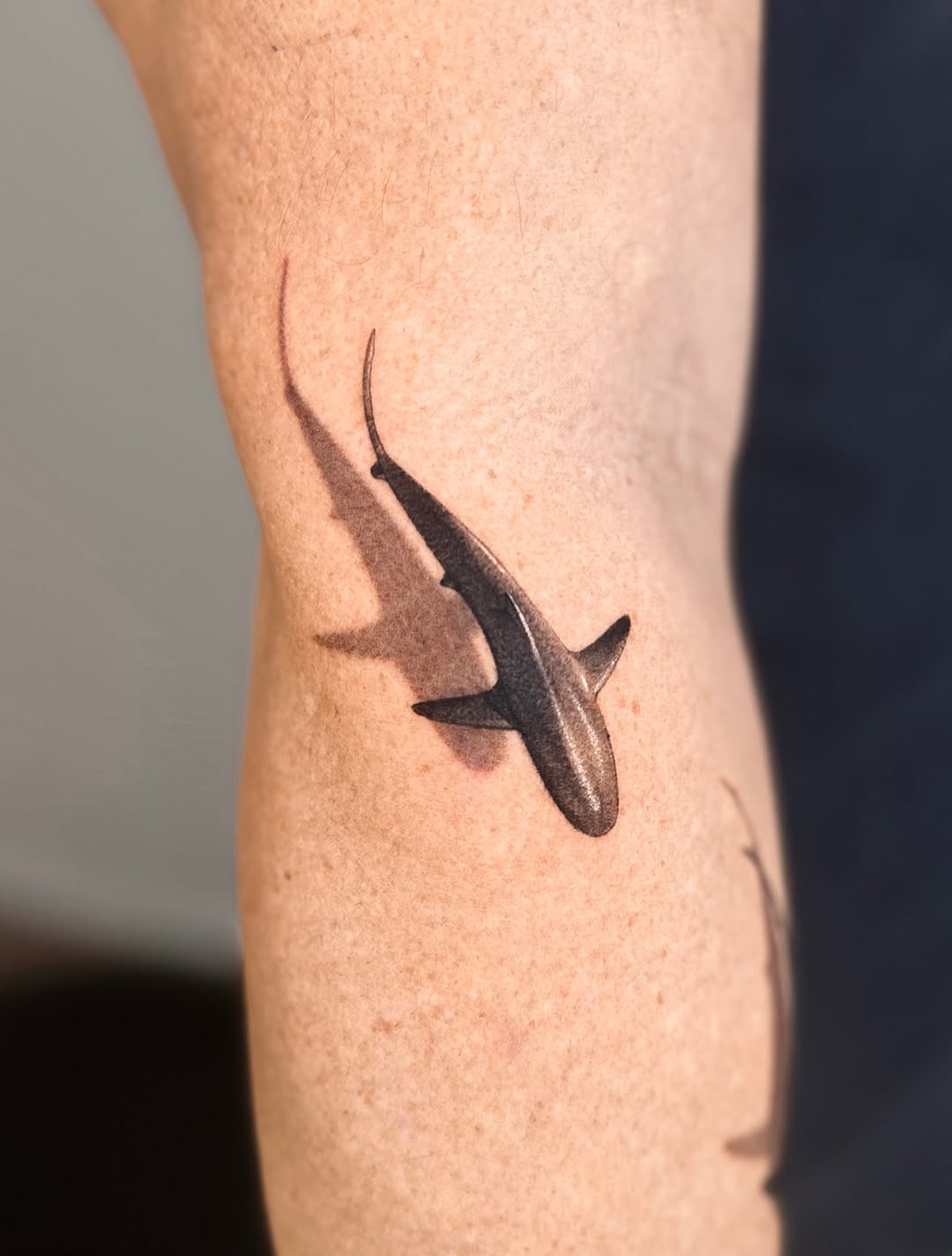 Shark fine line tattoo on the forearm by Saru