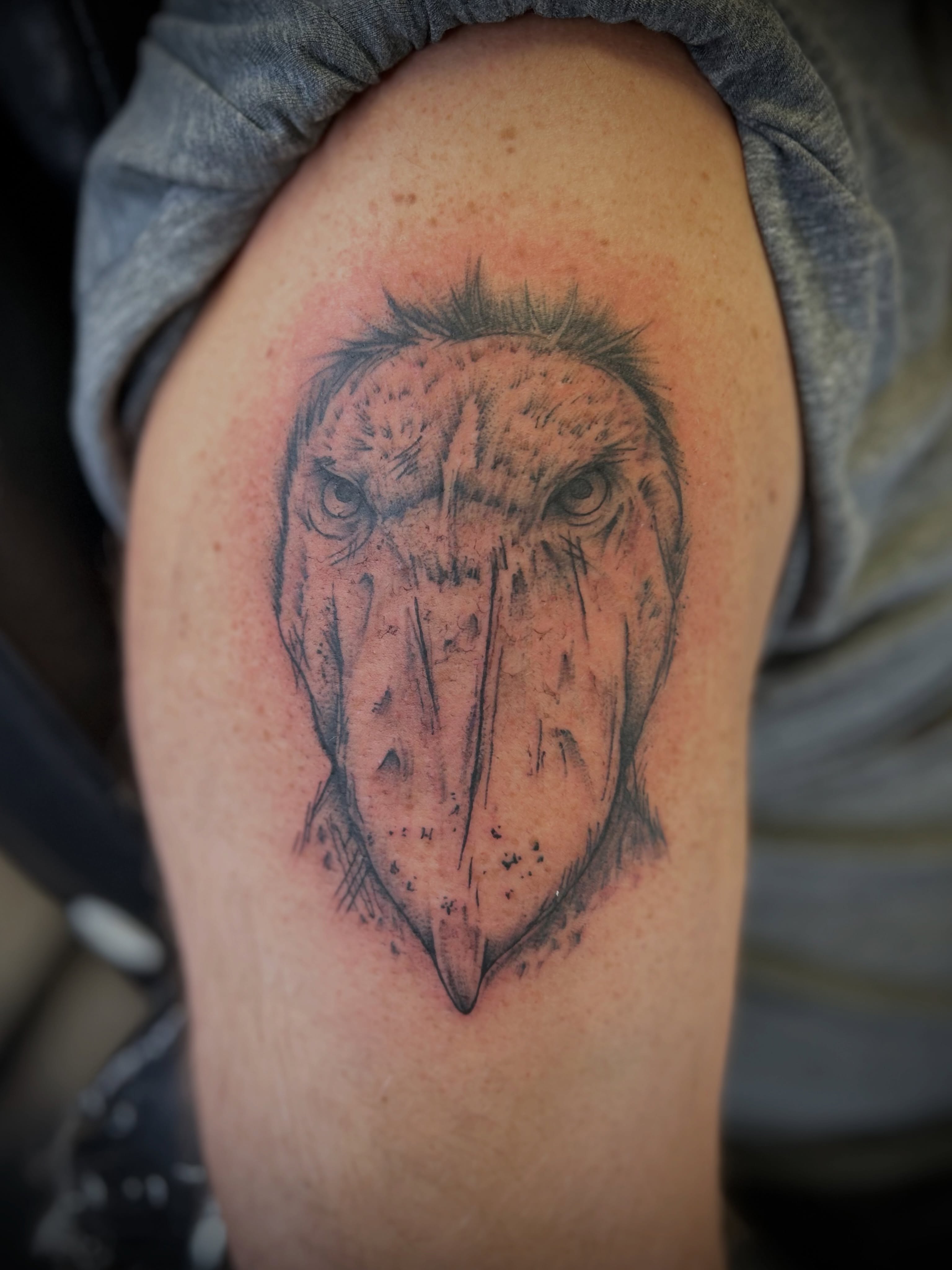 Vulture black and grey tattoo on the shoulder by Browtique & Ink, Clearwater, Florida