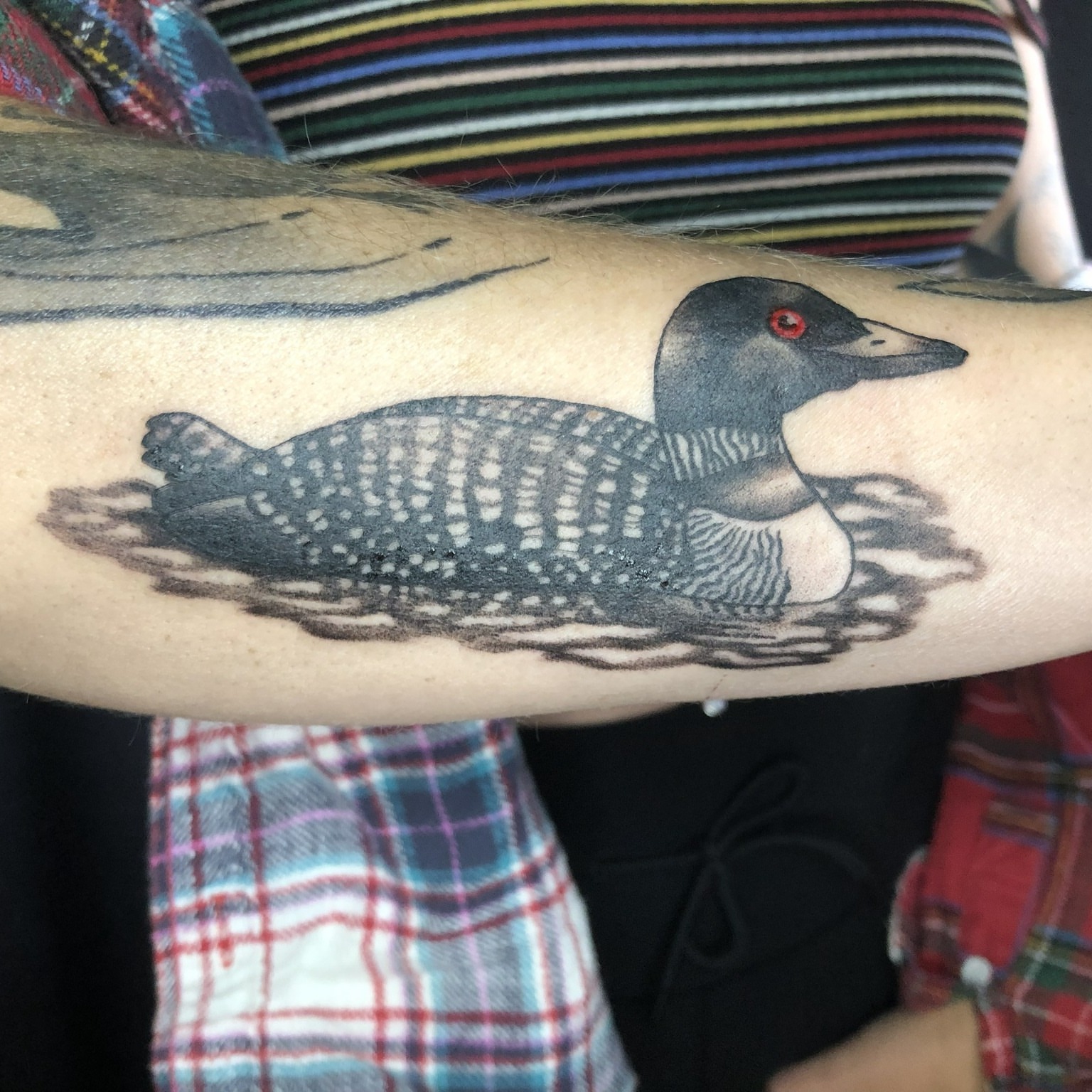 Loon realism tattoo on the forearm by Rowan Lee
