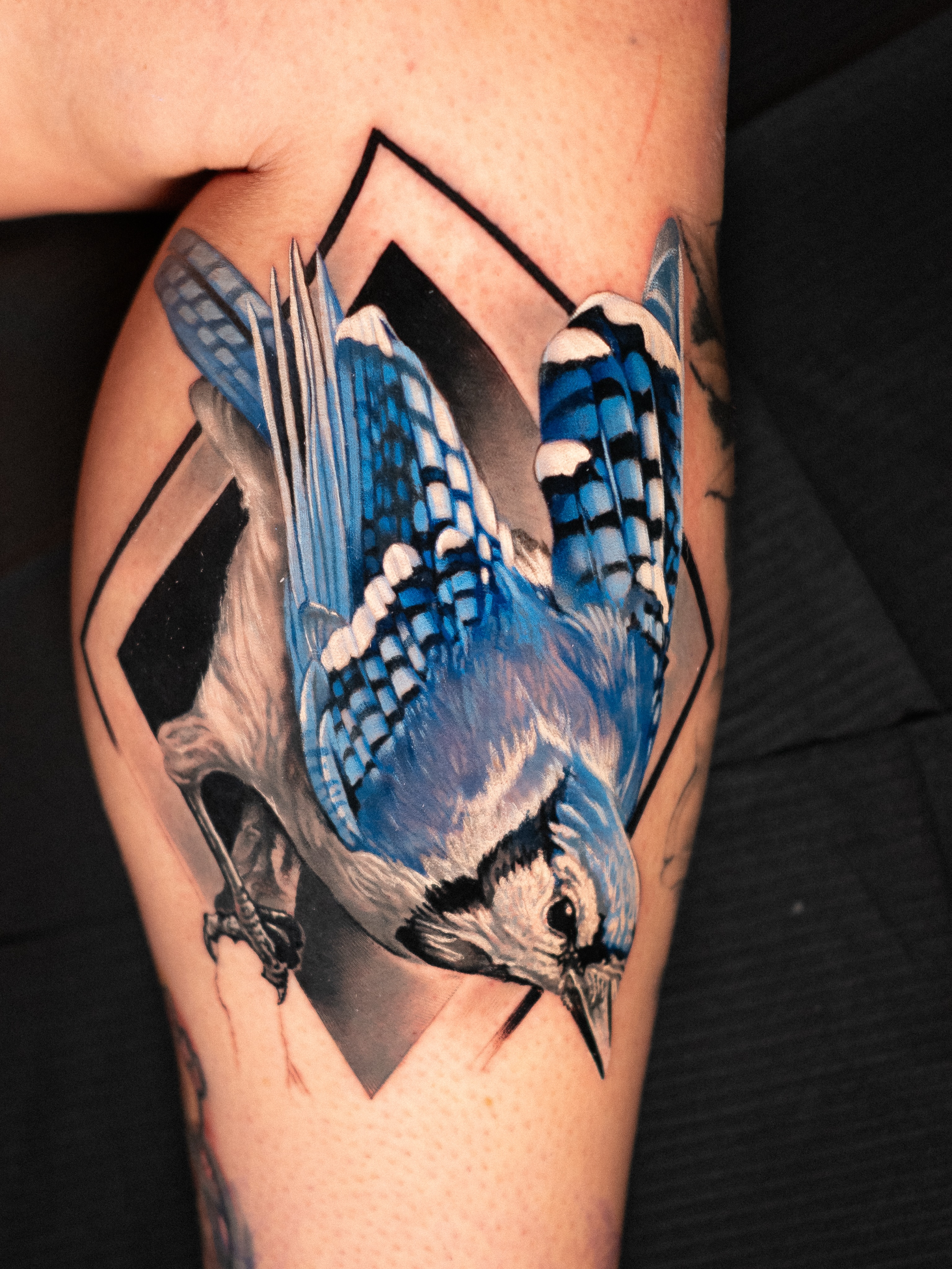 Blue jay in geometric frame fine line tattoo on the forearm by Christopher Powell