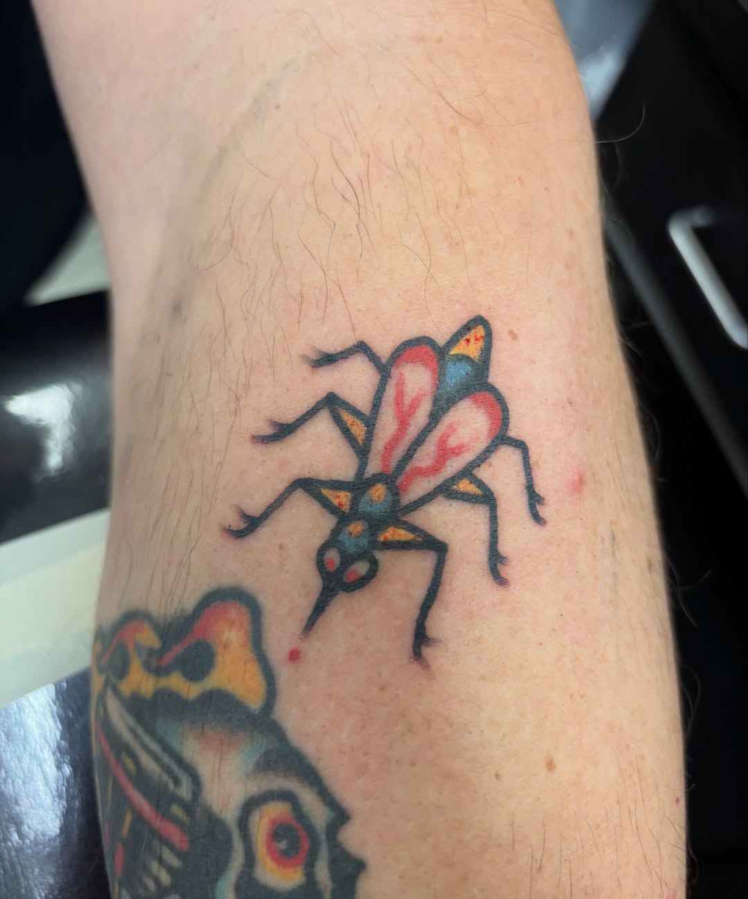 Insect American traditional tattoo on the forearm by Steve Reid