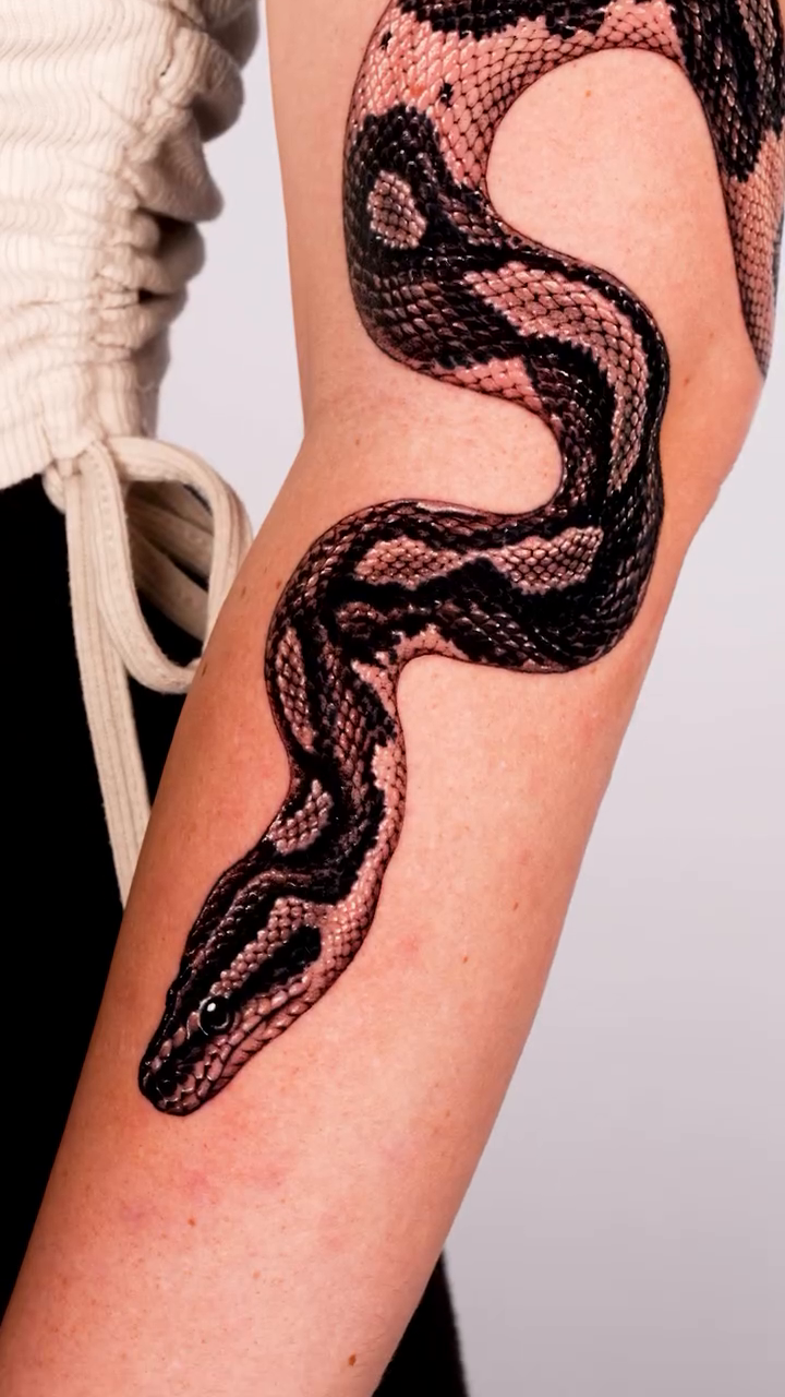 Snake tattoo American traditional tattoo on the forearm by Intat