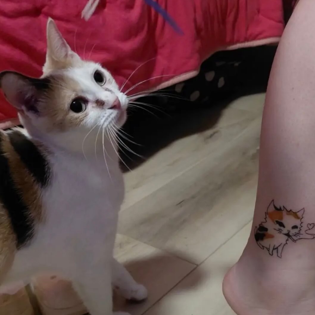 Cat dotwork tattoo on the foot by rylie :P