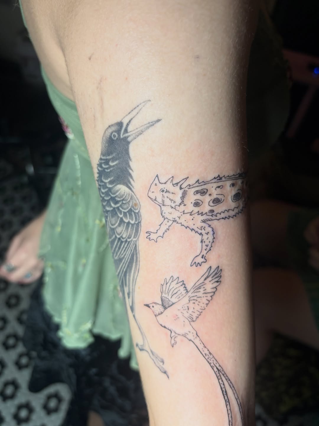 Crow, lizard, and bird fine line tattoo on the forearm by Mattie Robinson
