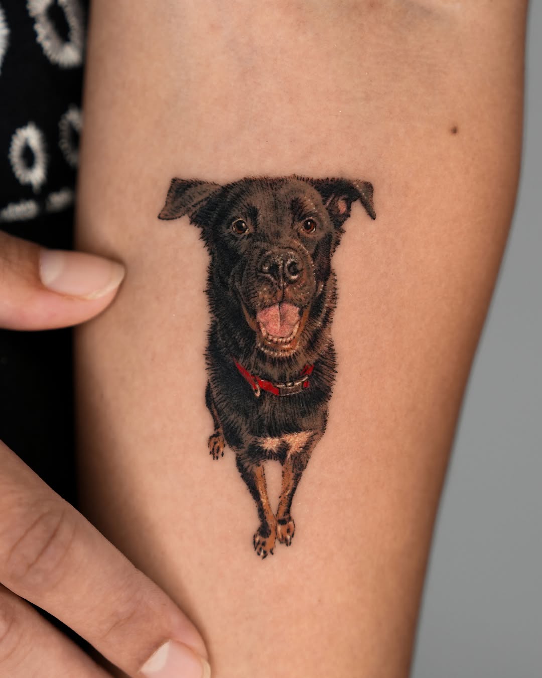 Dog portrait realism tattoo on the forearm by Jun