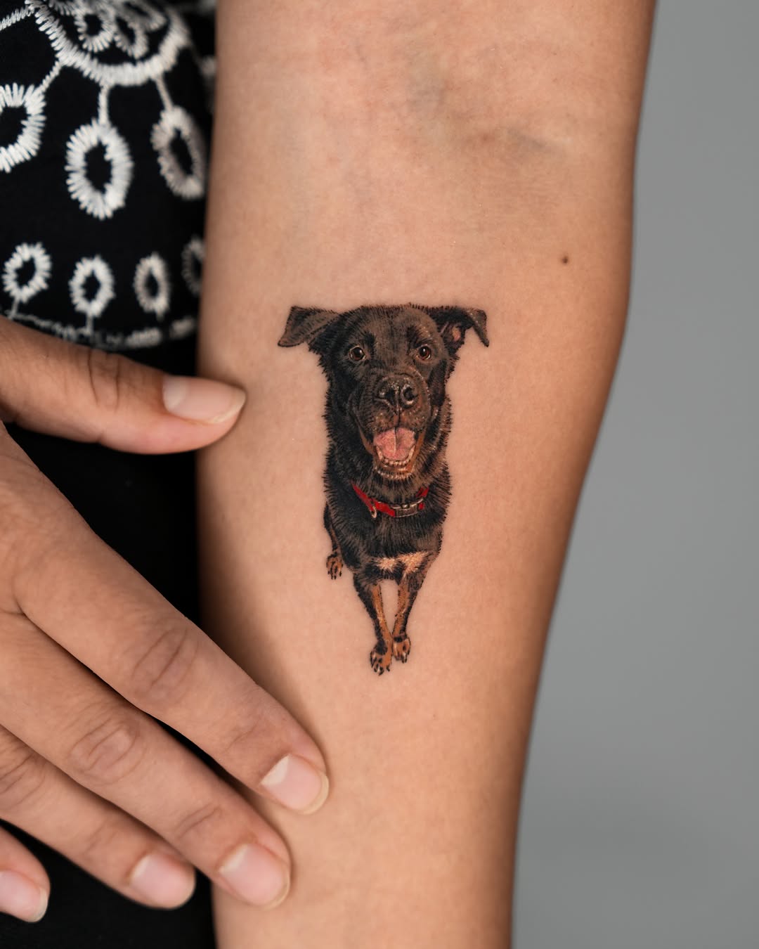 Dog portrait realism tattoo on the forearm by Jun
