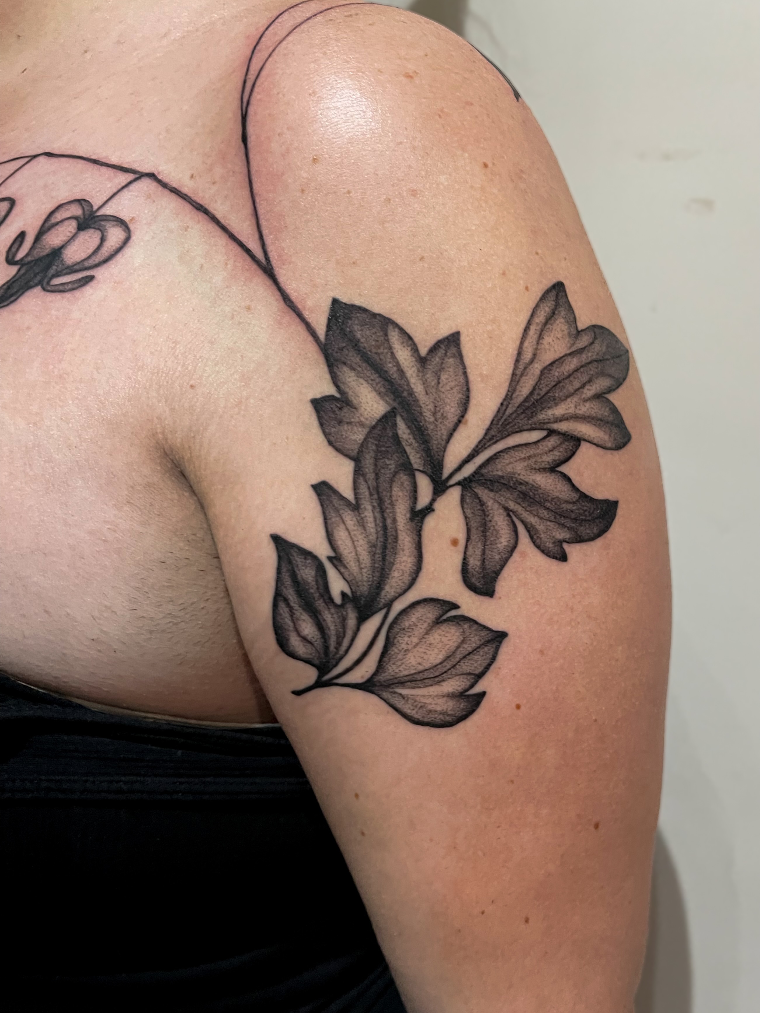 Leaves black and grey tattoo on the shoulder by Amy