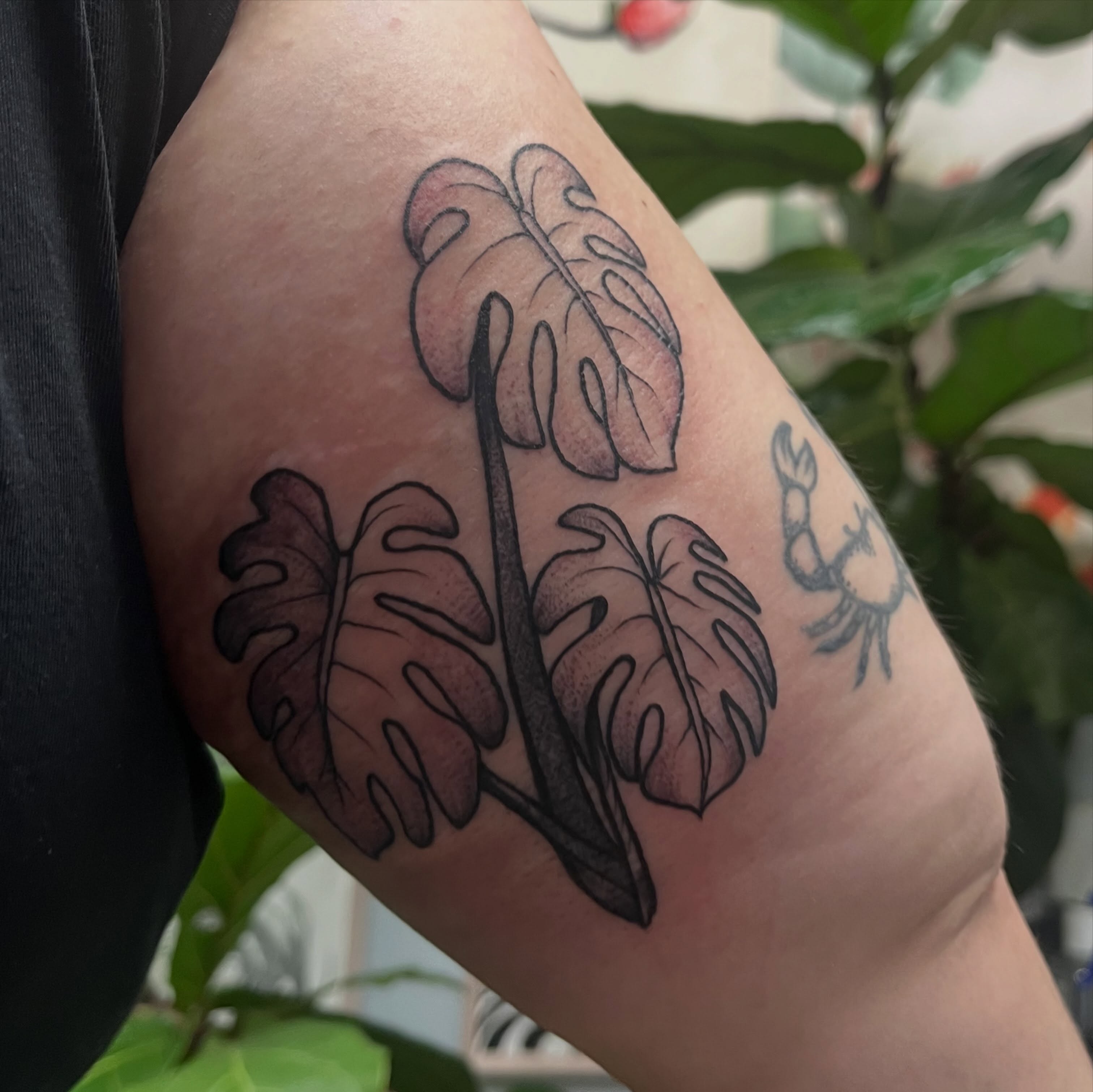 Monstera leaves dotwork tattoo on the forearm by Garden Glow Tattoo