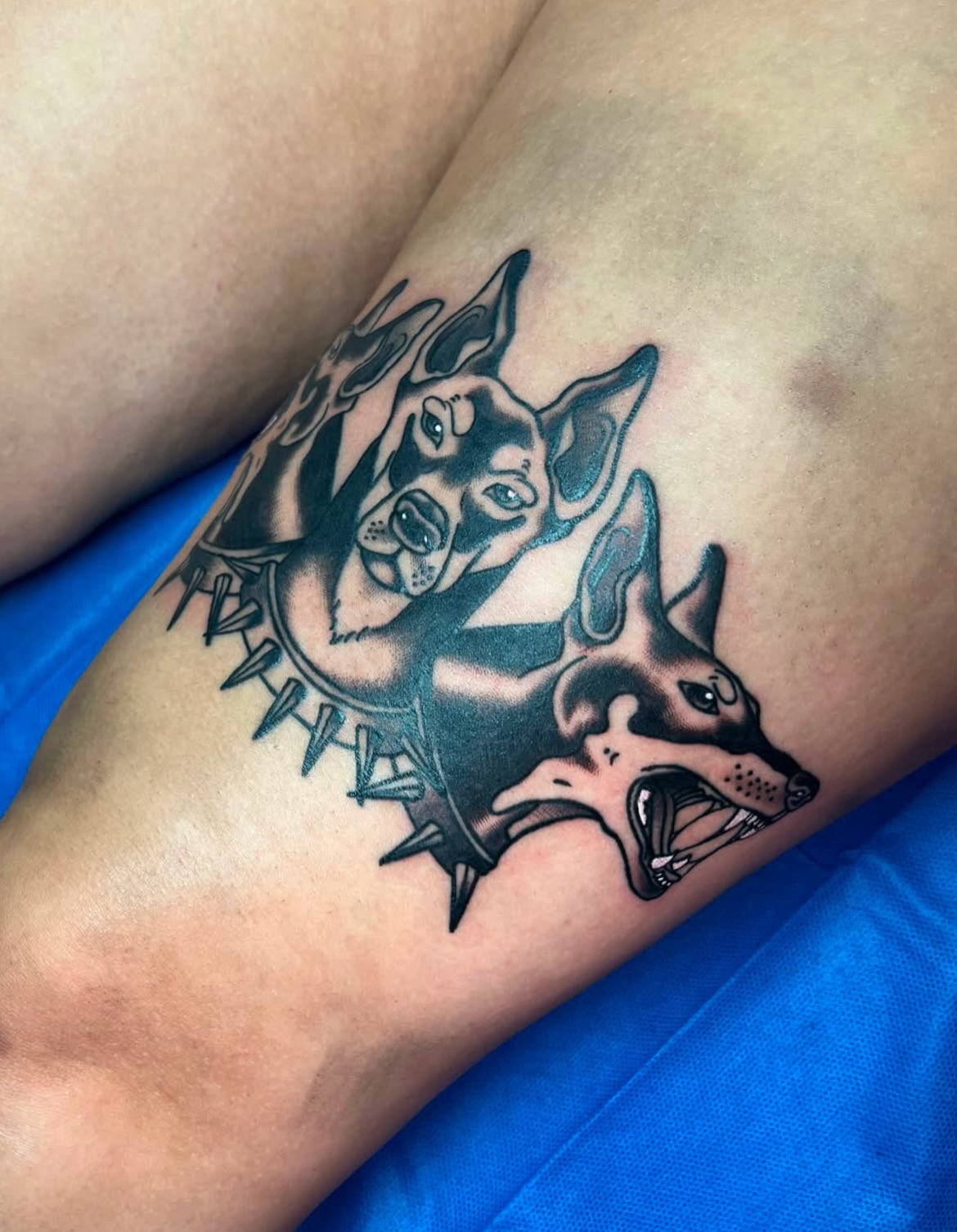 Dogs American traditional tattoo on the forearm by Cincinnati Tattoo Artist, Cincinnati