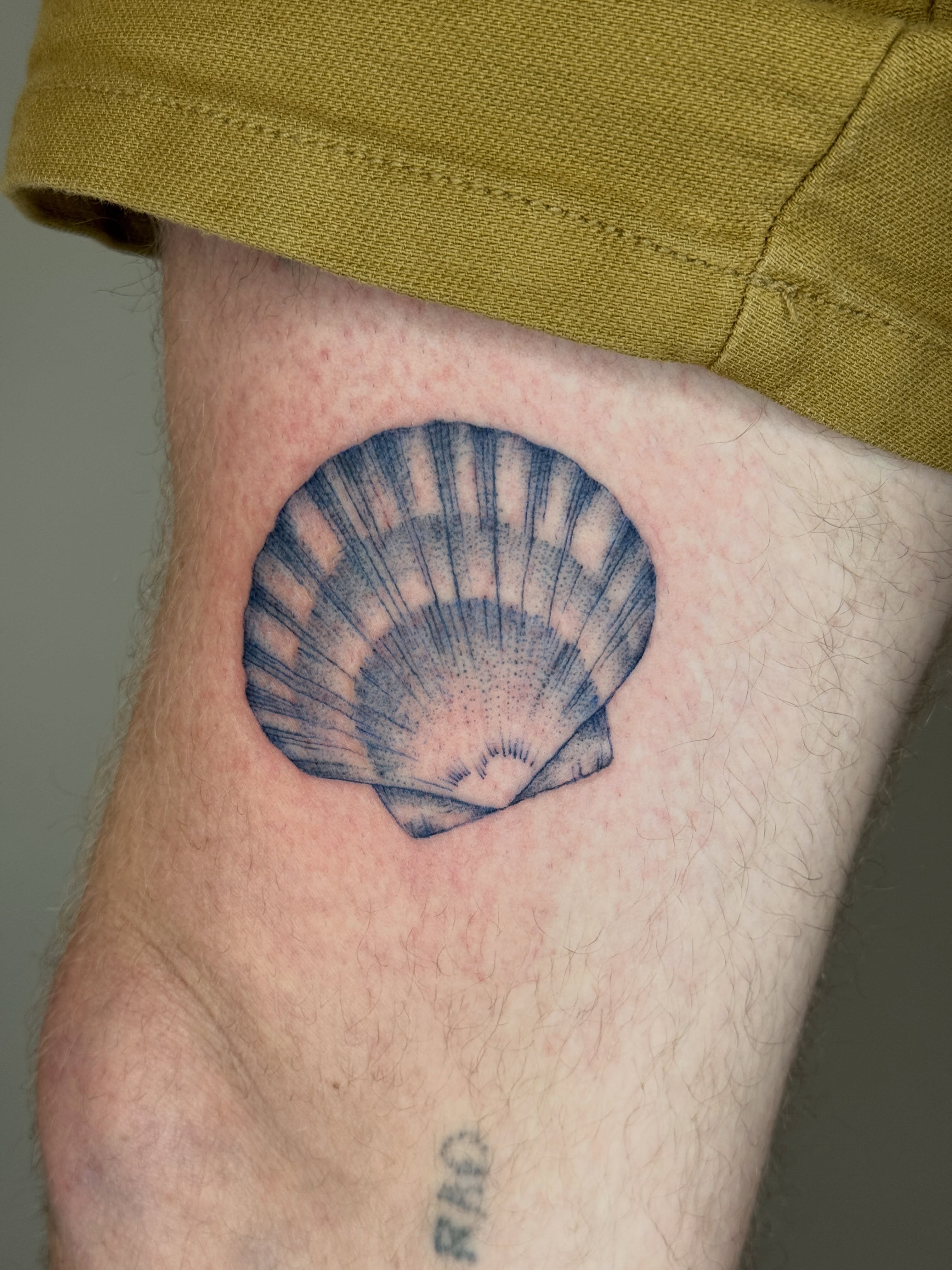 Shell black and grey tattoo on the forearm by Monica Reynolds